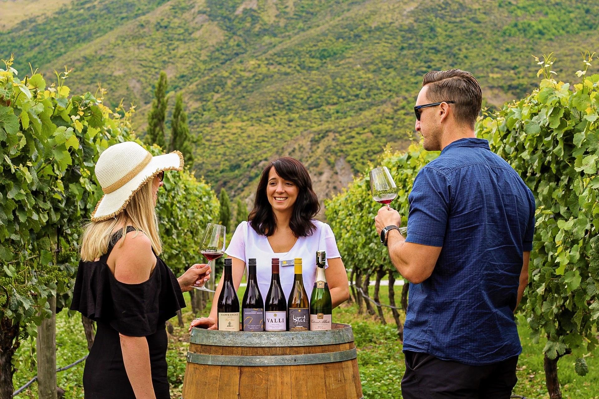 Gibbston Valley Afternoon Wine Tour: 3 Vineyards, Cave & Antipasto