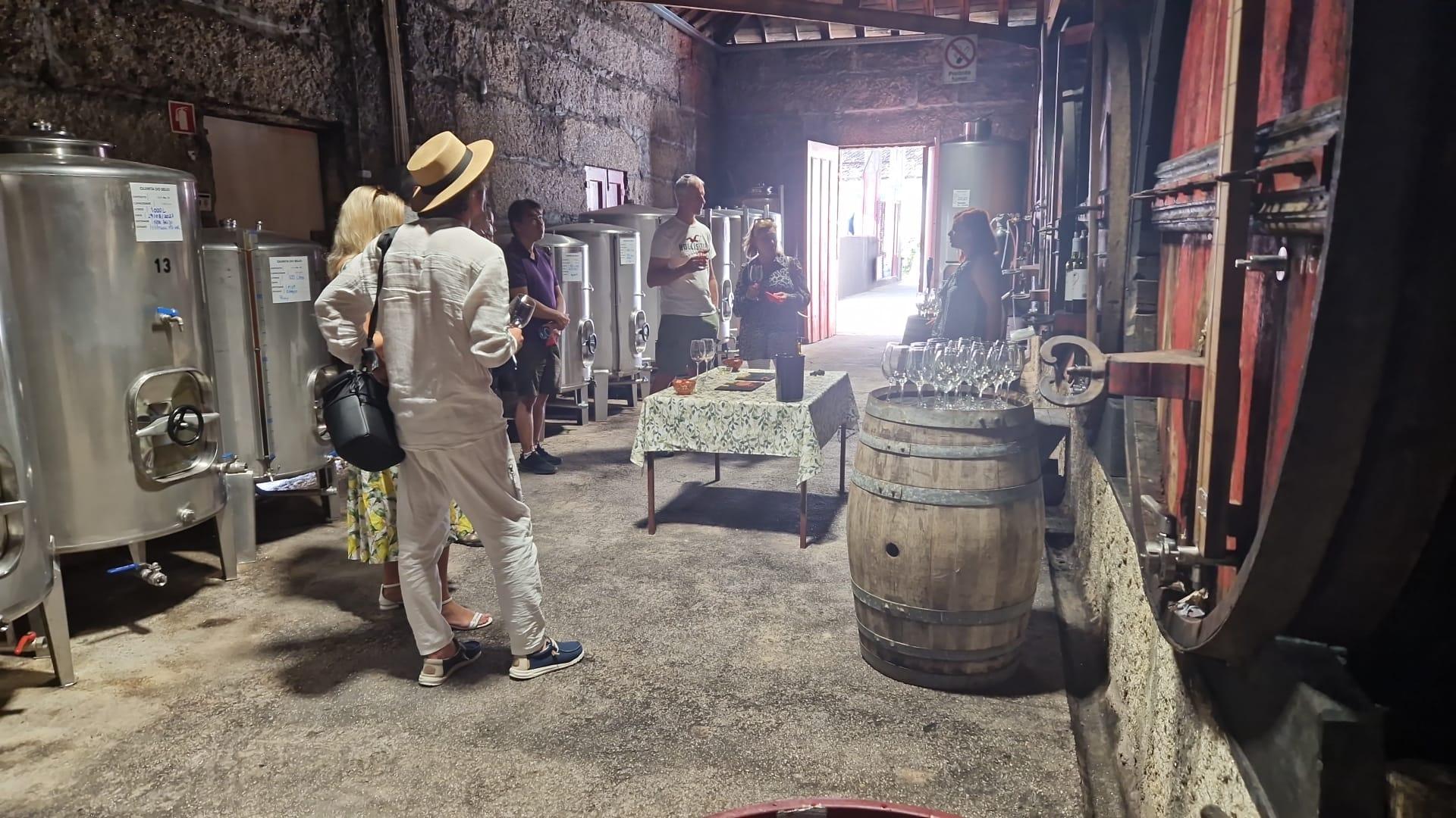 Douro Valley Small-Group Wine & Boat Tour from Porto