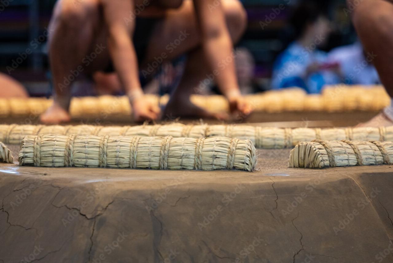 Fukuoka: Watch Sumo Tournament And Visit Sumo Spots!