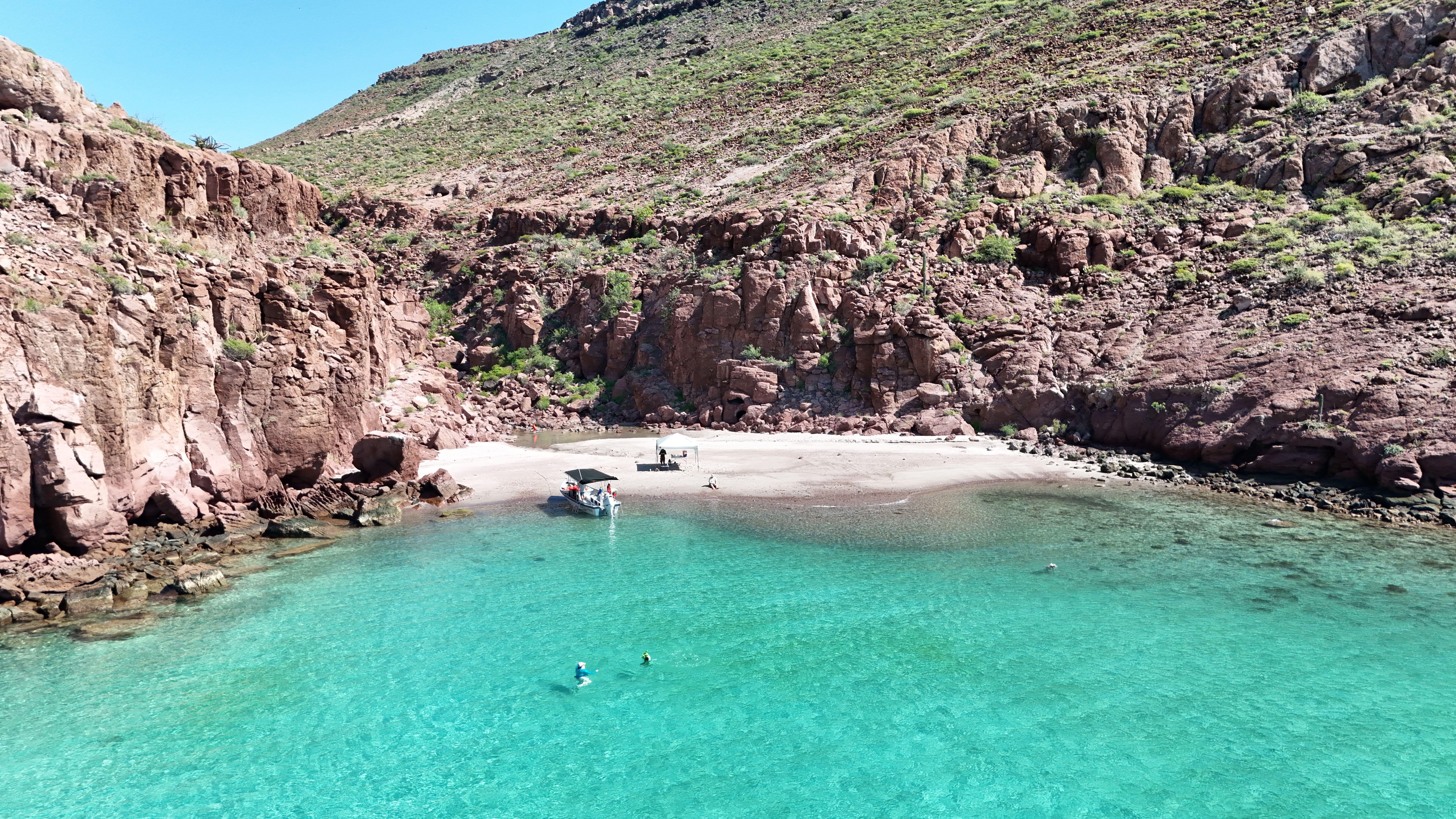 Espiritu Santo Island Sea Lion Snorkeling Expedition