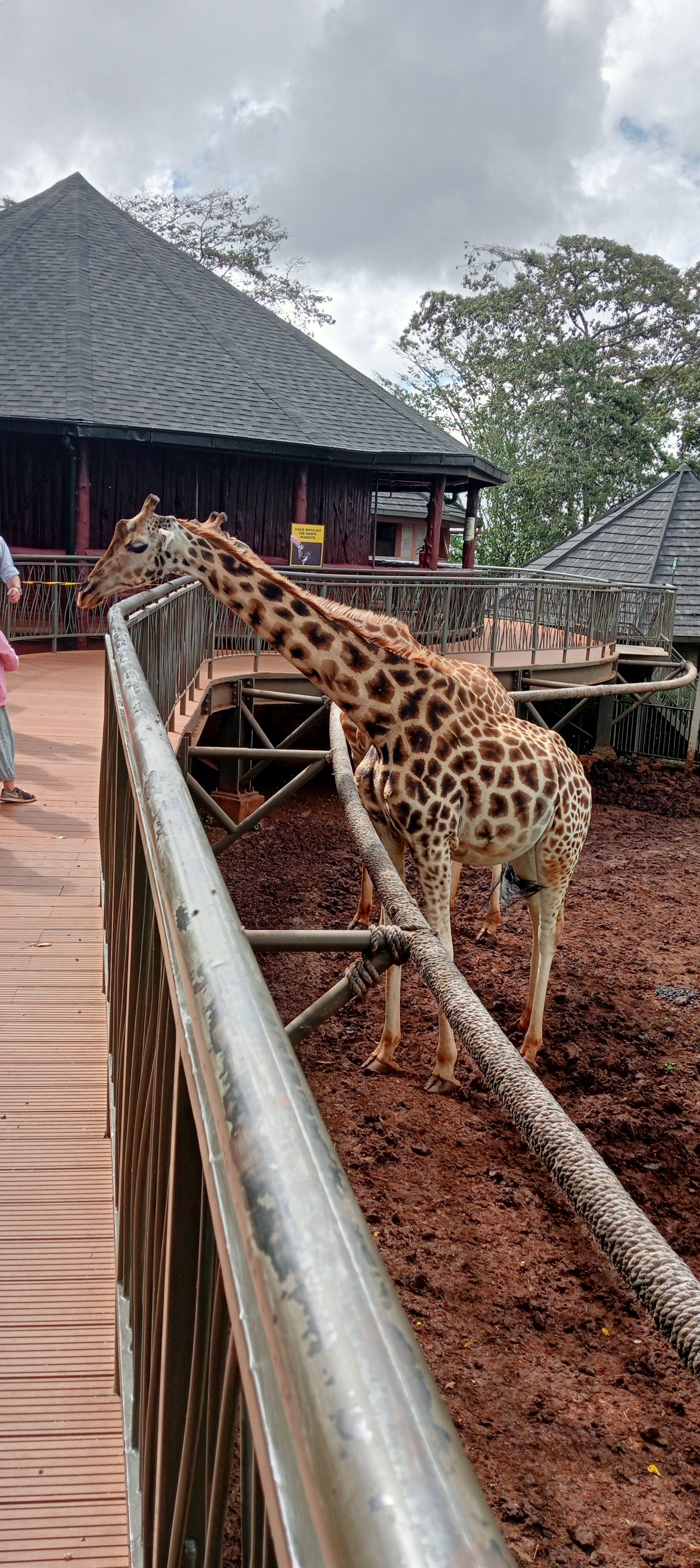 Nairobi Wildlife & History Day Tour