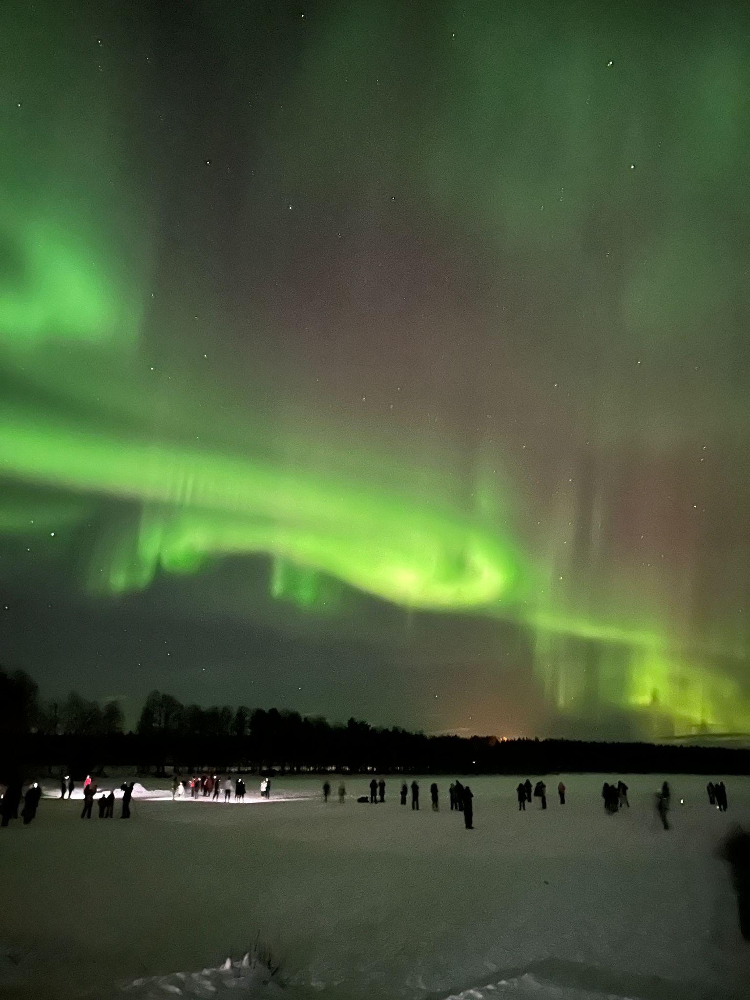Rovaniemi Northern Lights Hunt with Lakeside BBQ