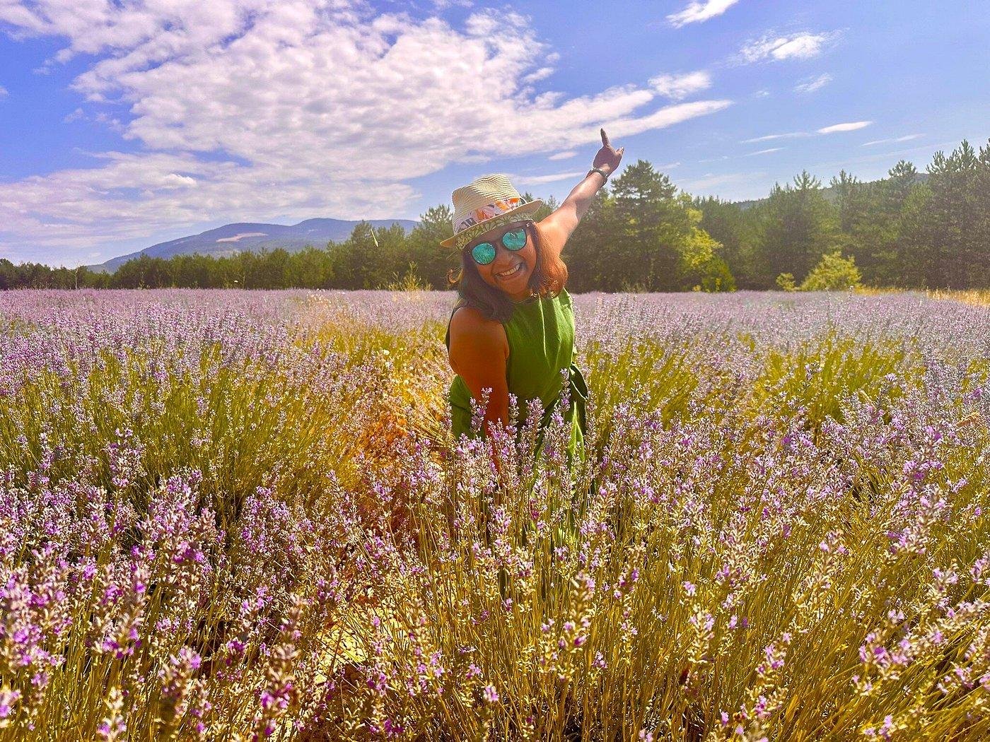 Valensole lavender fields in Provence — guided lavender tour photo 6