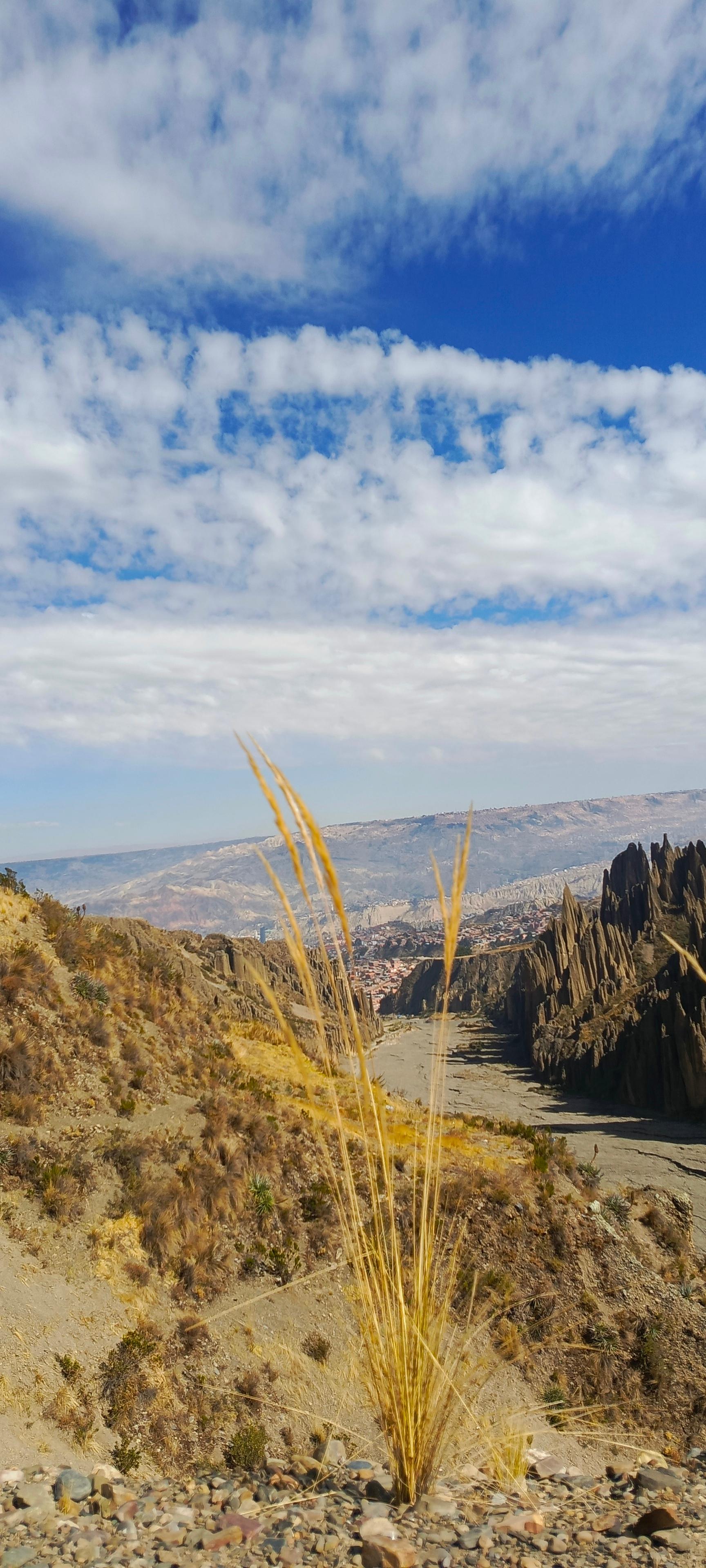 Aventure d'une demi-journée : Valle de las Animas, Vallée de la Lune et Killi Killi