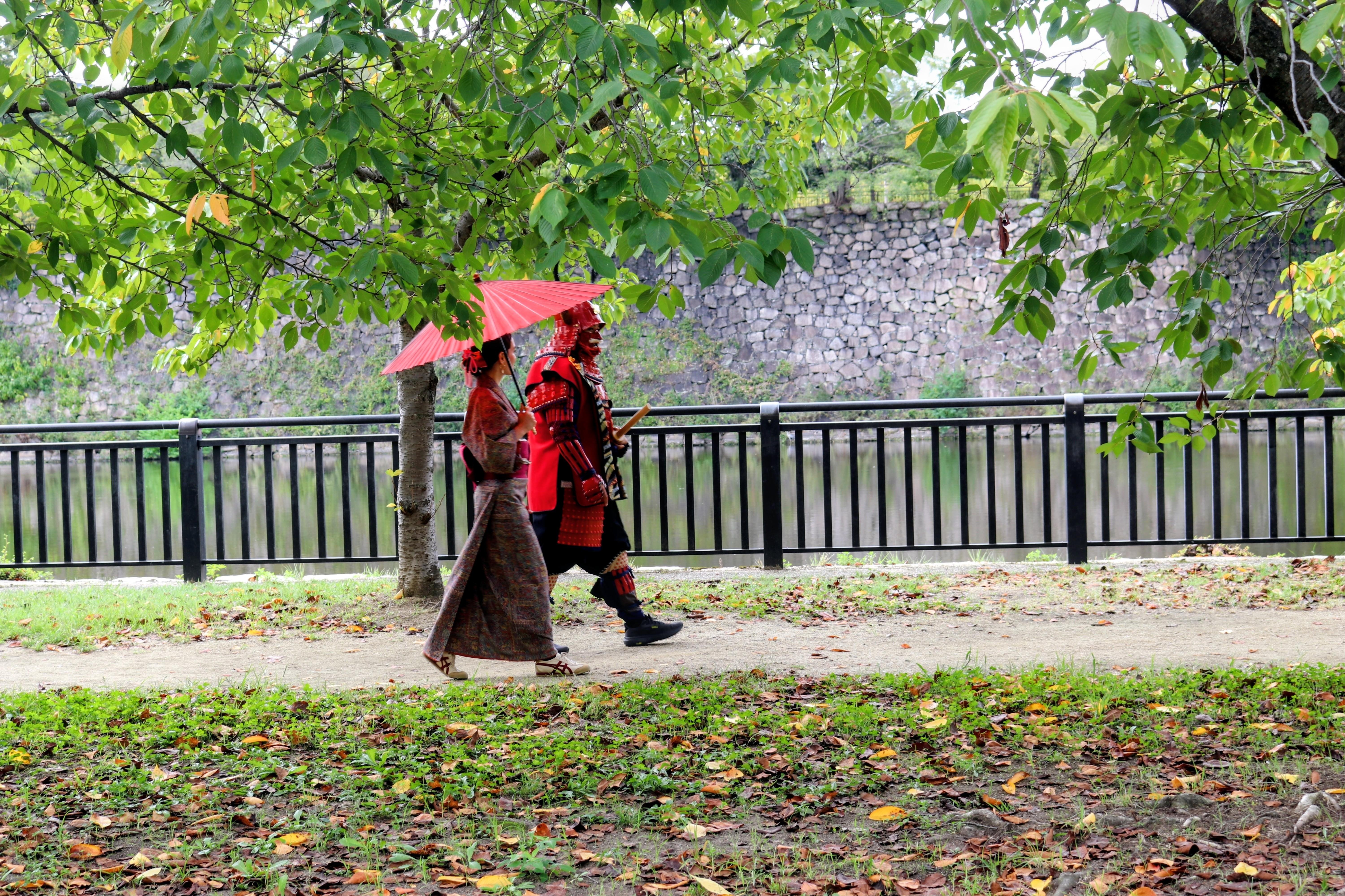 Complete Samurai & Traditional Culture Experience in Osaka