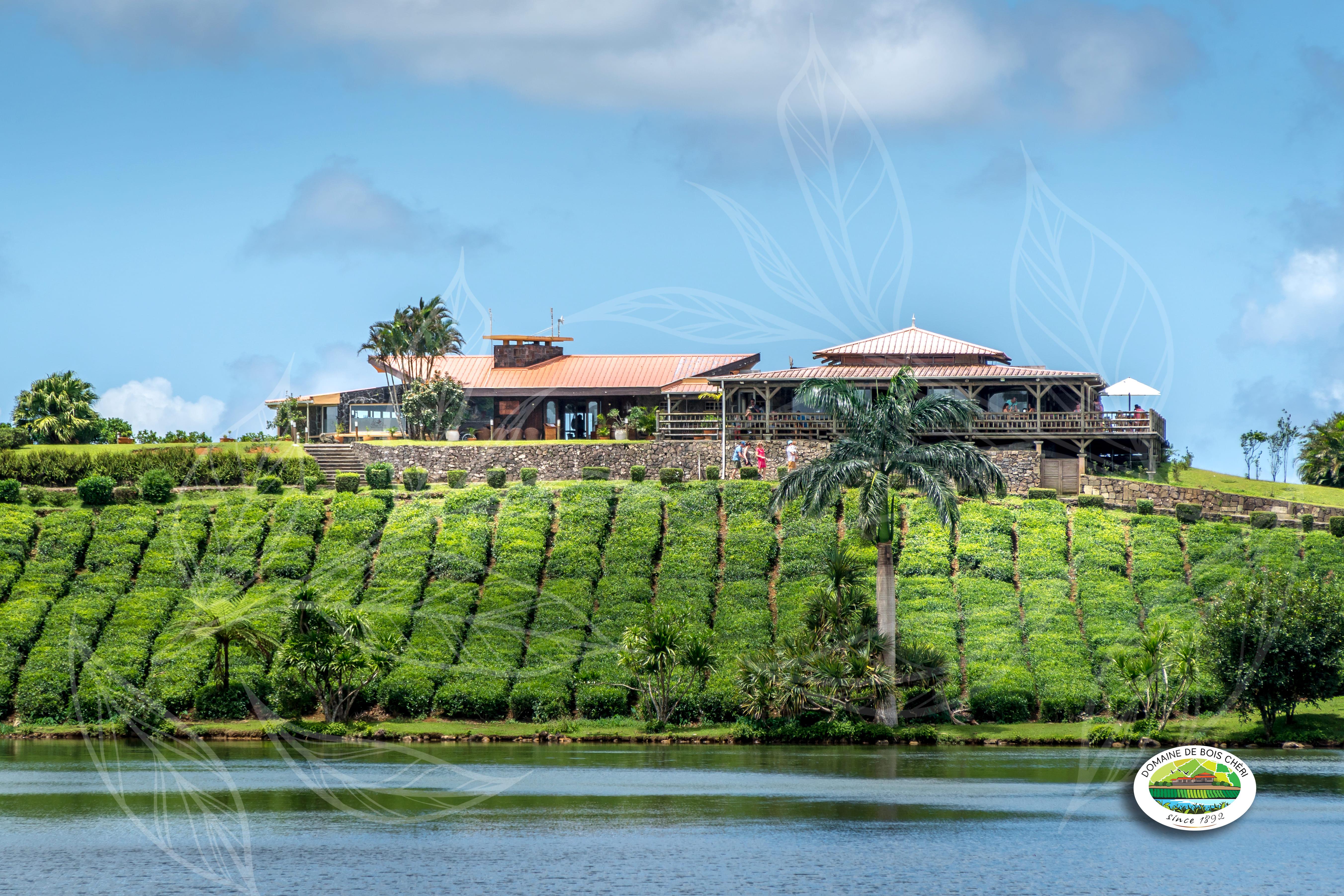 Mauritius Tea, Rum & Vanilla Discovery Tour with Lunch