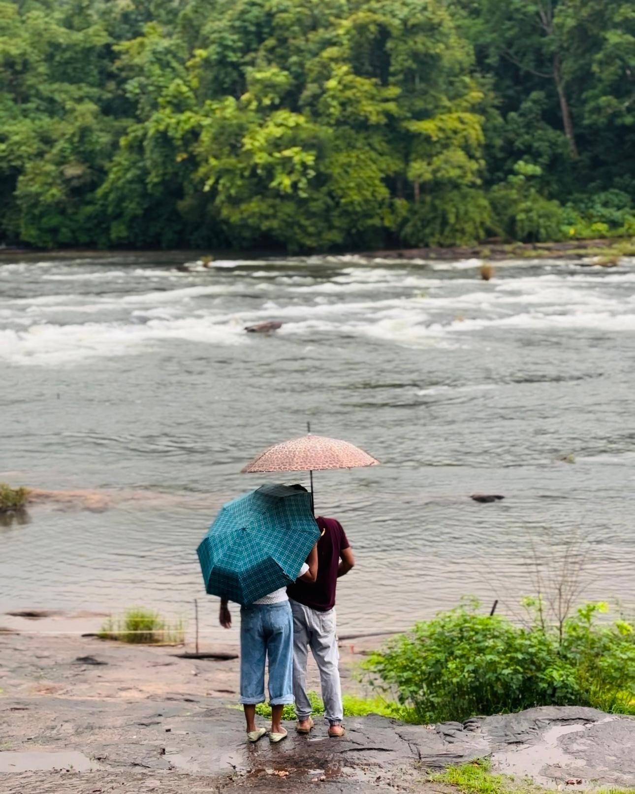 Athirappilly Waterfalls Scenic Day Trip from Kochi