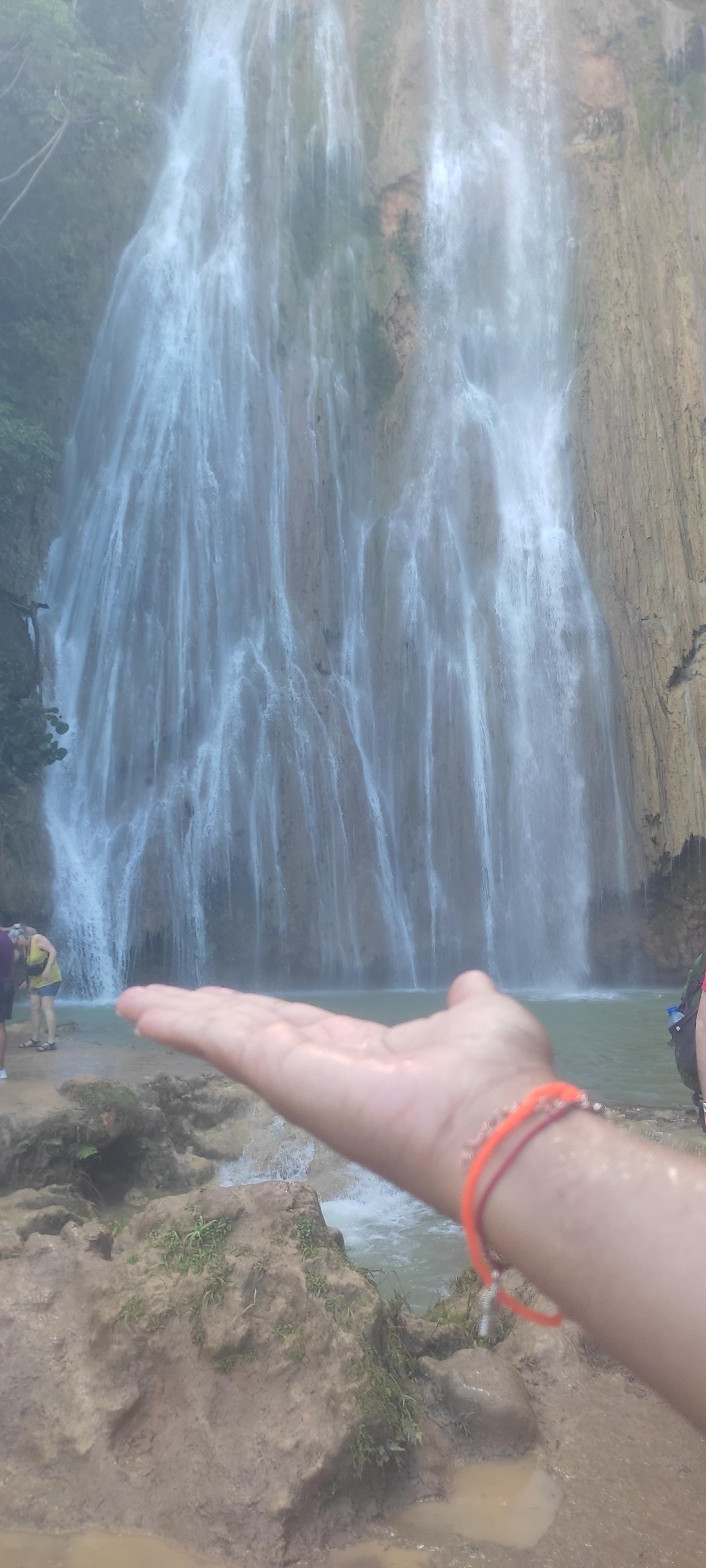 Samaná Bay & El Limón Waterfall Full-Day Adventure
