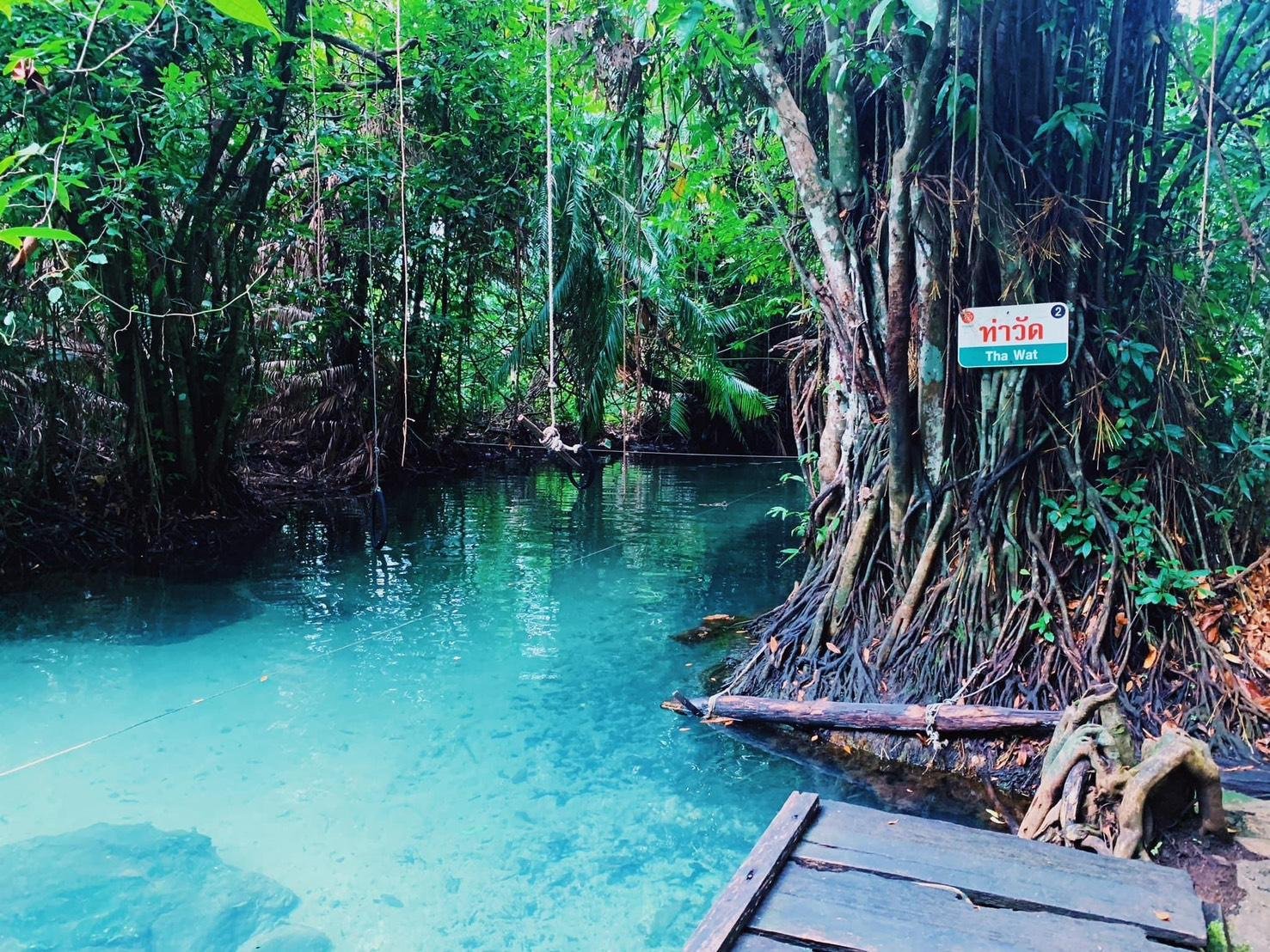 Ao Thalane Mangrove Kayak & Jungle Swim Day Tour