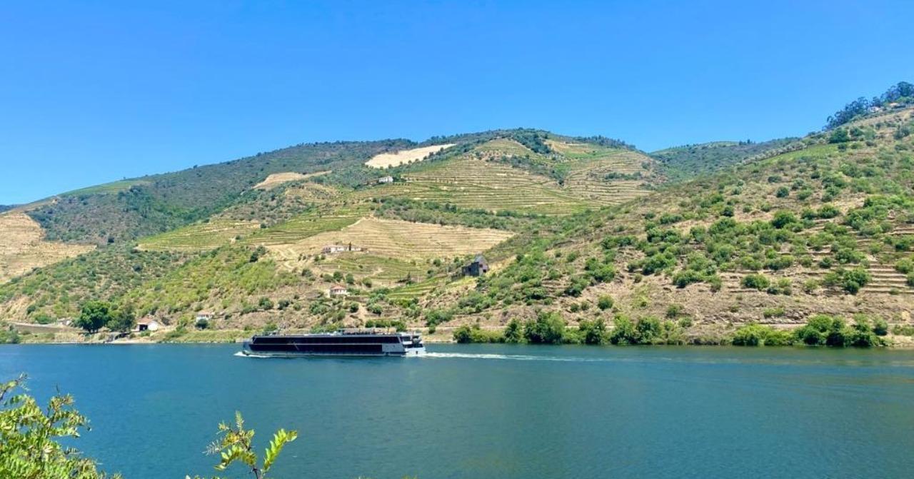 Douro Valley Small-Group Wine & River Cruise Day Trip from Porto