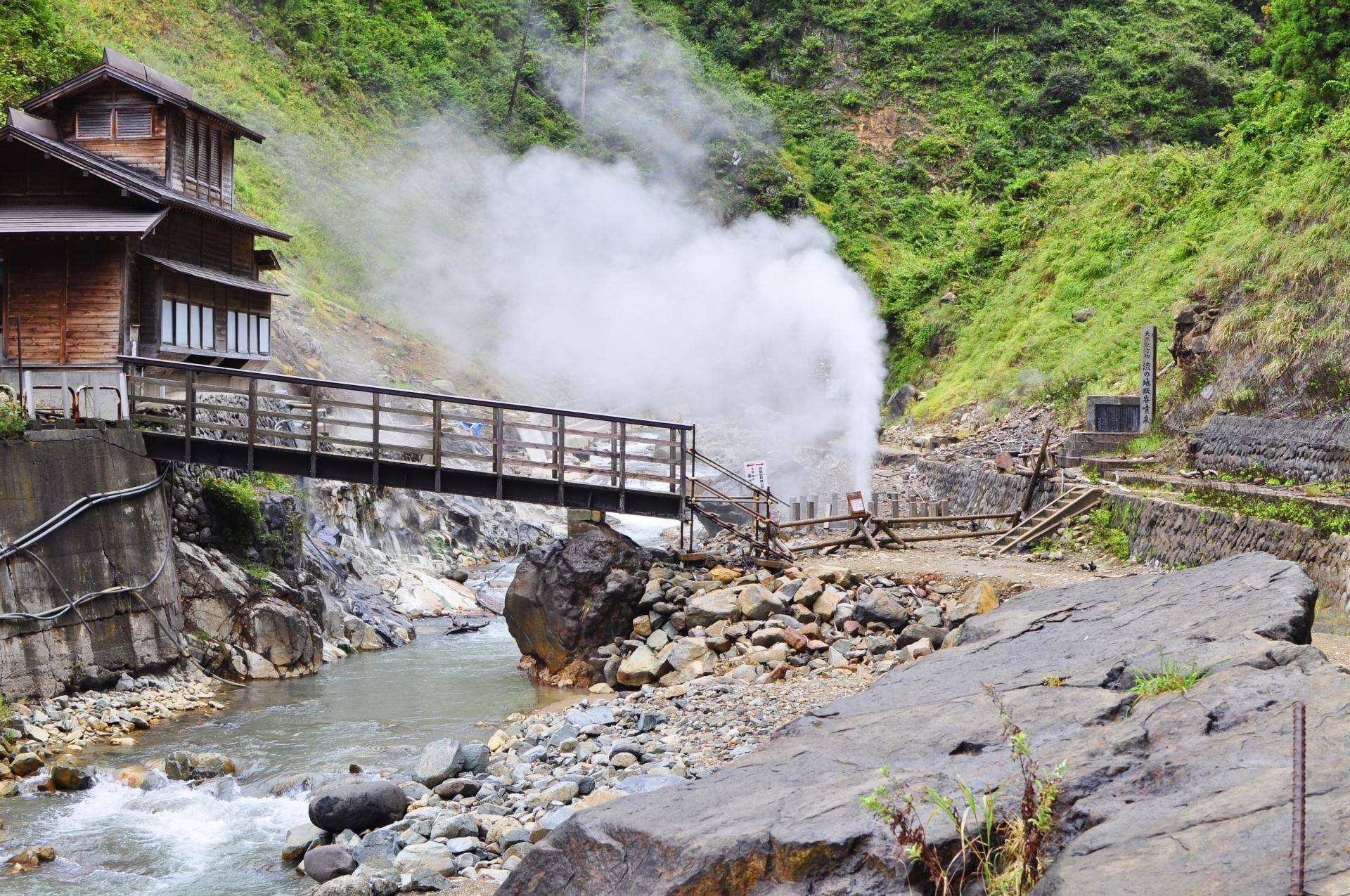 Jigokudani Snow Monkey Park Guided Tour from Nagano