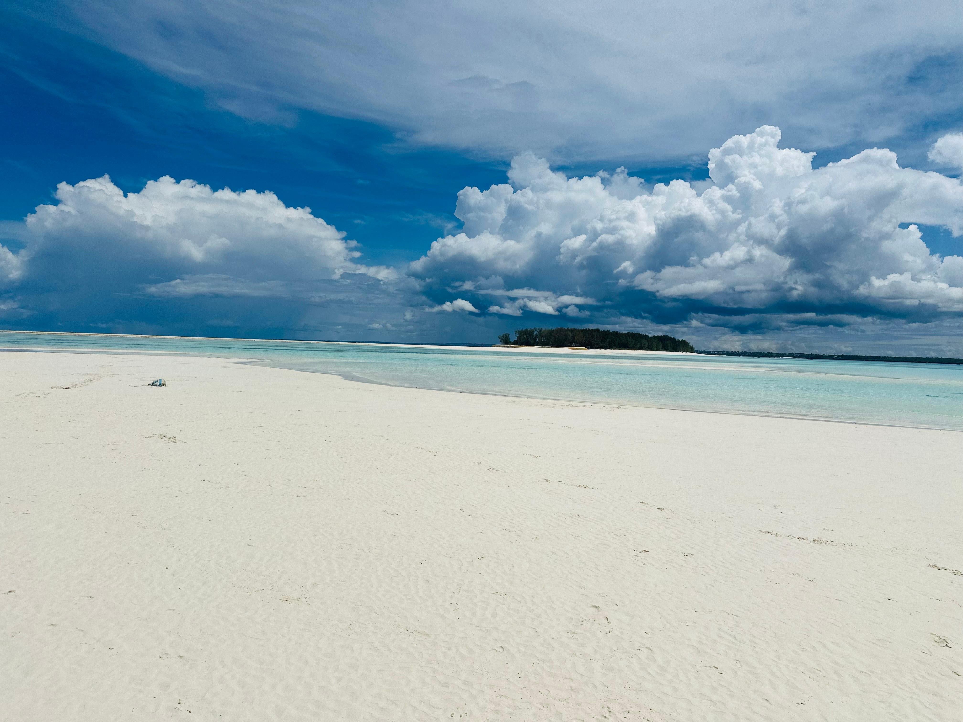 Zanzibar: Mnemba Island Dolphin Swim & Snorkel Adventure