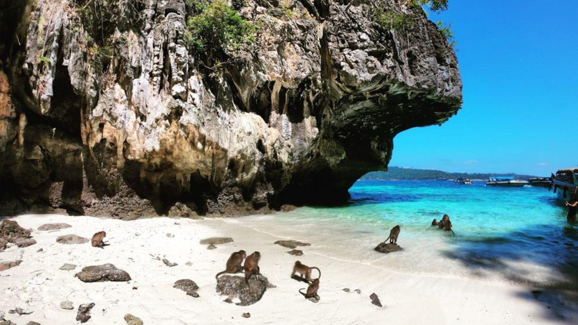 Phi Phi Islands Private Speedboat Charter from Krabi