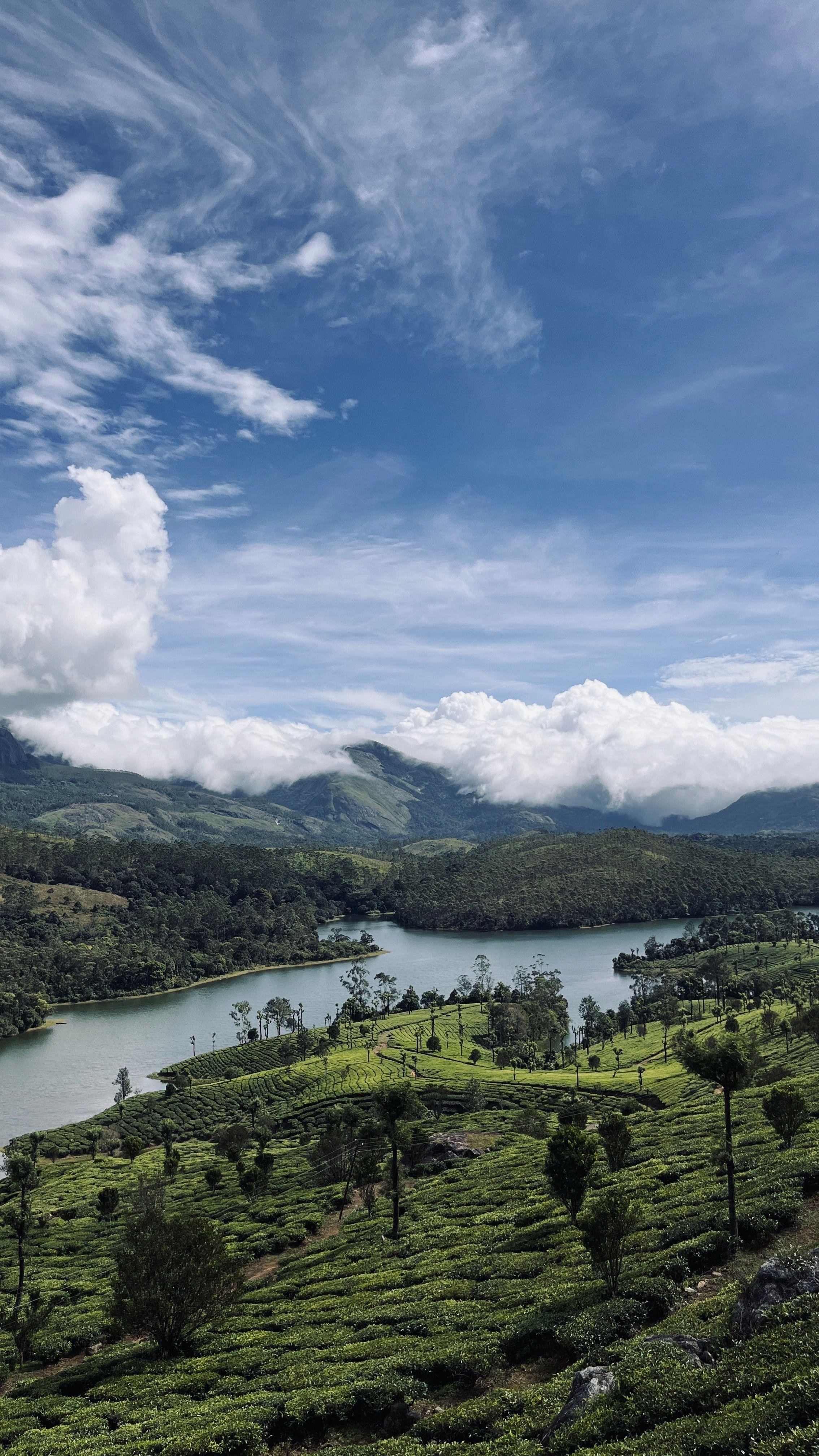 5-Day Kerala Escape: Munnar Hills, Thekkady Wildlife & Alleppey Houseboat