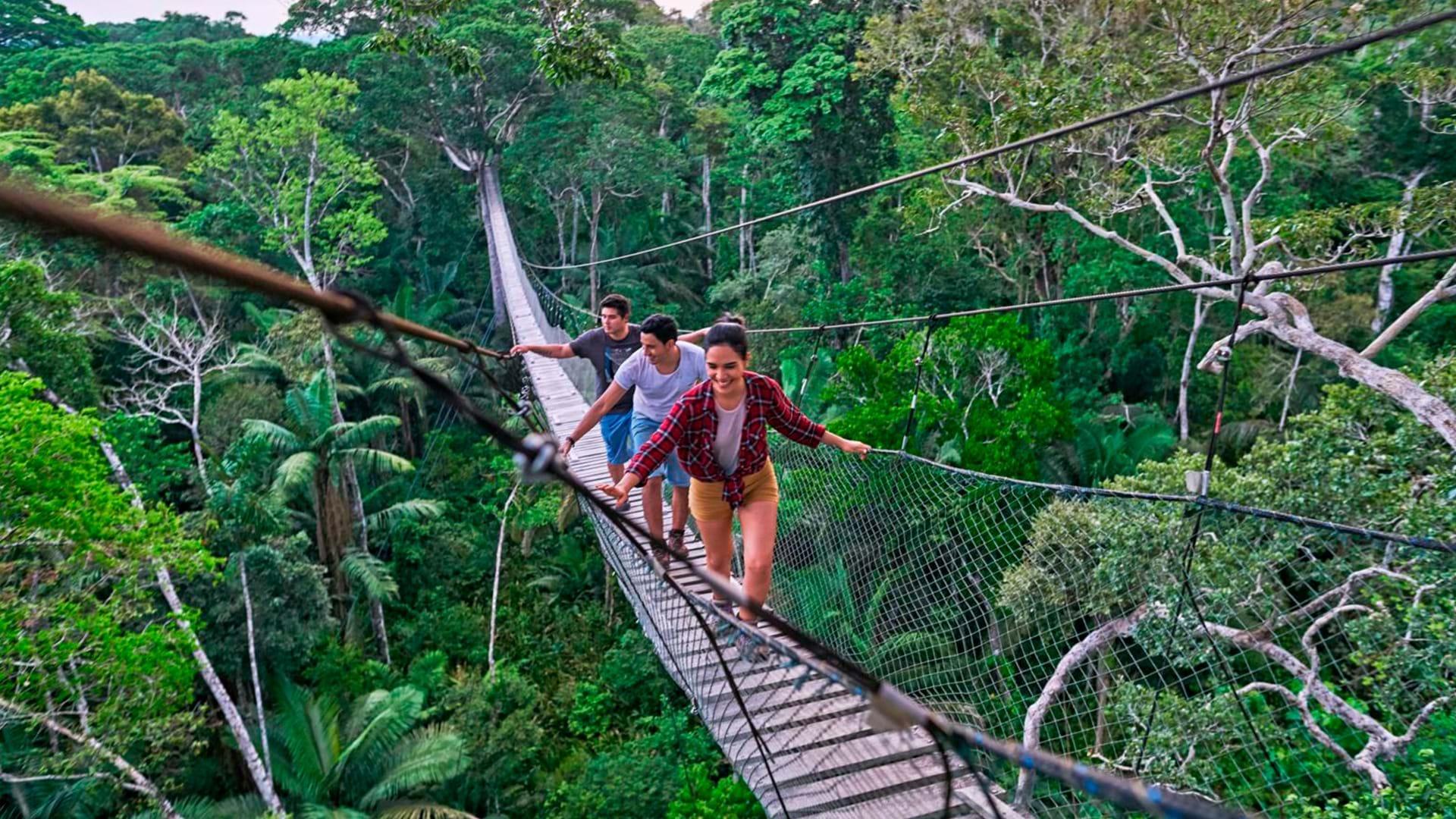 Puerto Maldonado: Inkaterra Canopy Walkway Tour