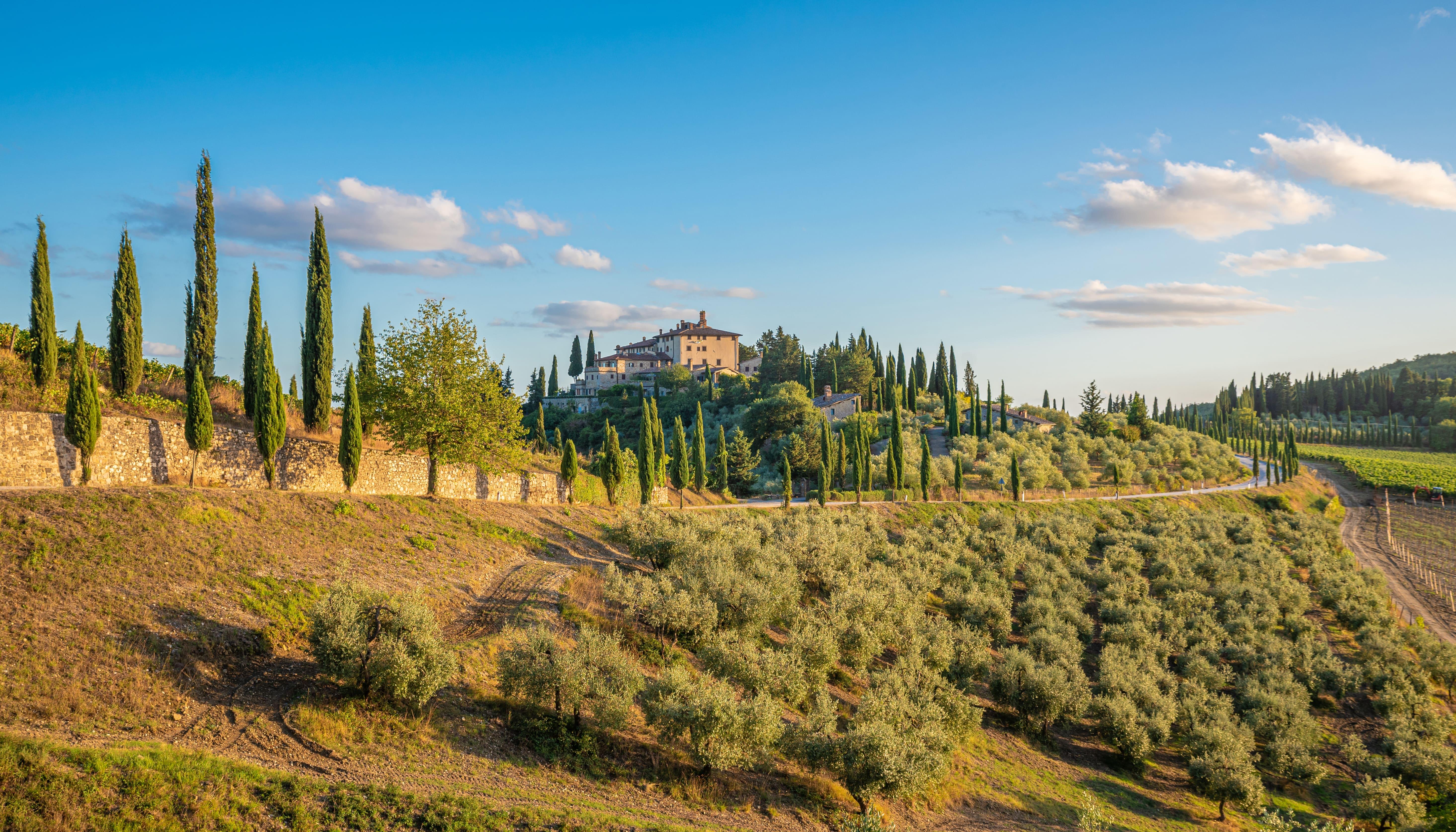 Florence golf cart tour — panoramic hills and Piazzale Michelangelo — image 6