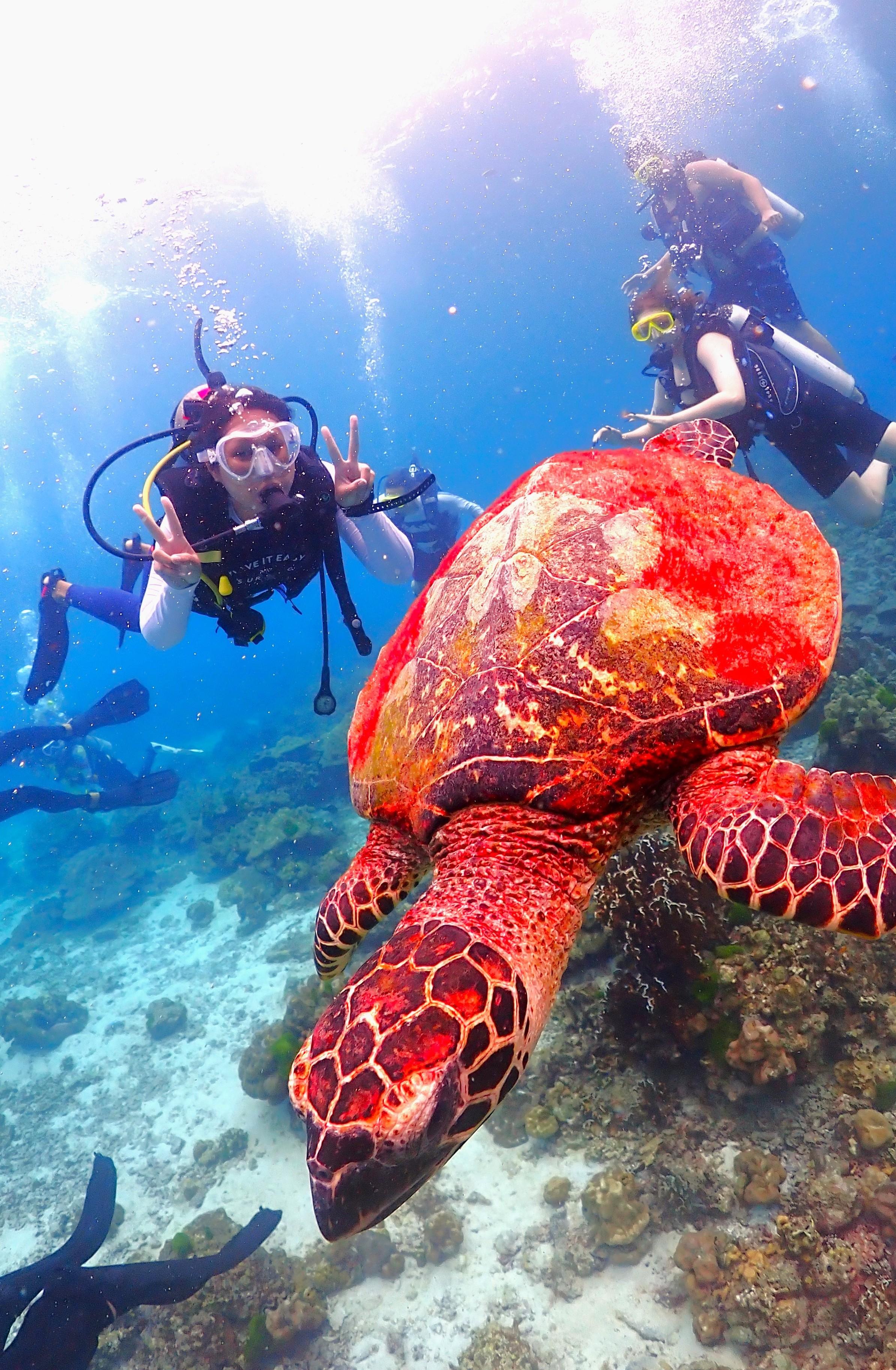 Phuket: Racha & Maiton Islands Scuba Diving for All Levels