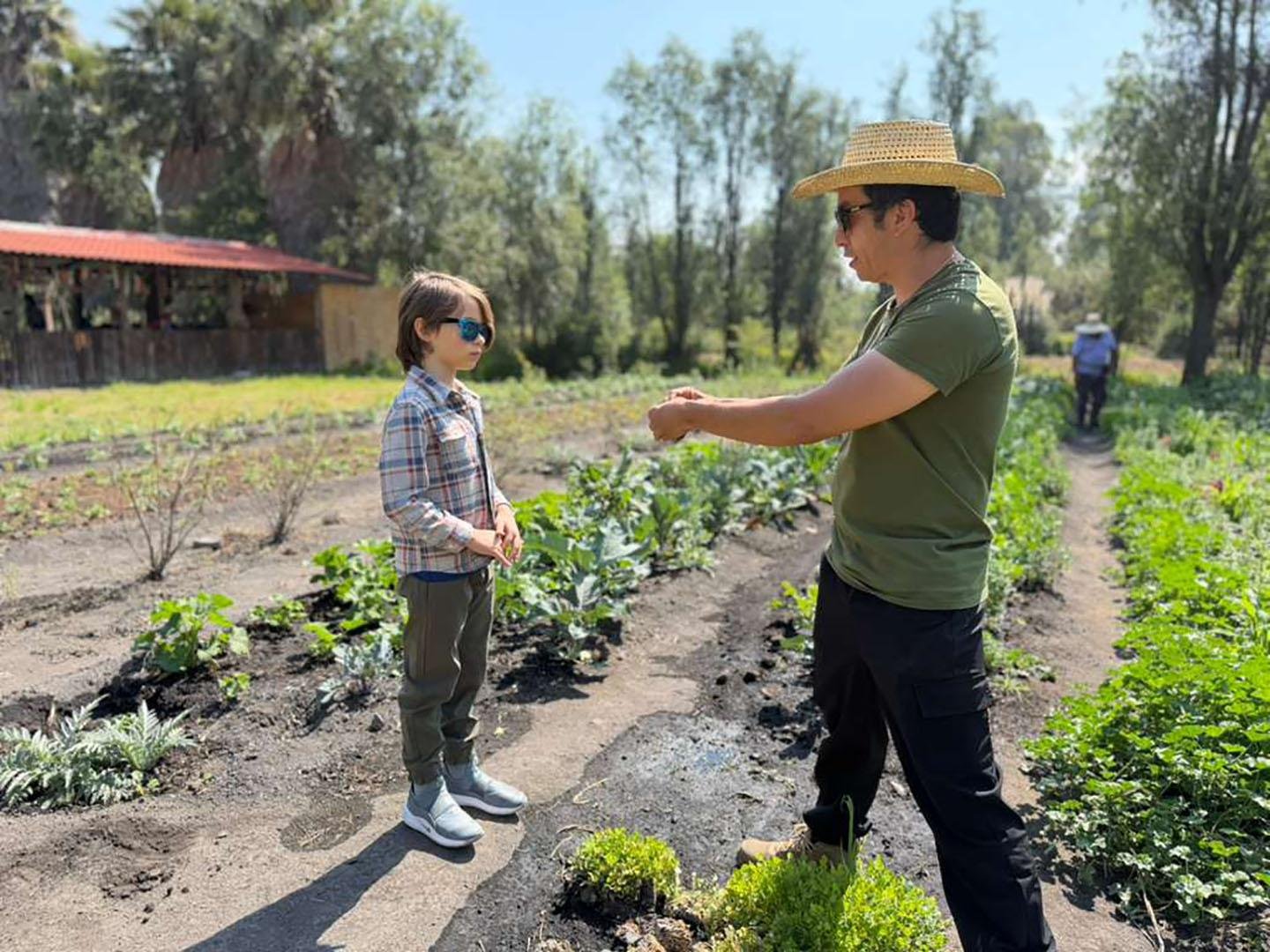 Xochimilco Canals, Axolotls & Market Tour