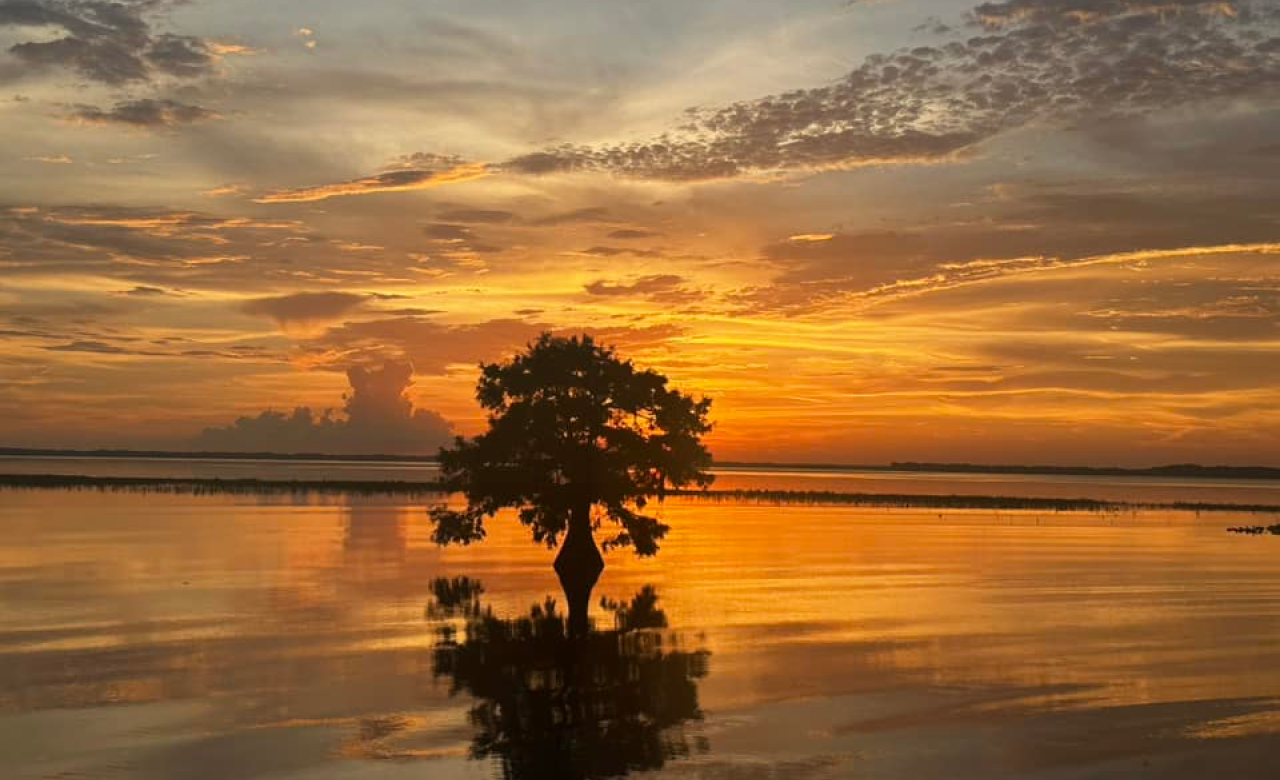 Boggy Creek Sunset Airboat Adventure