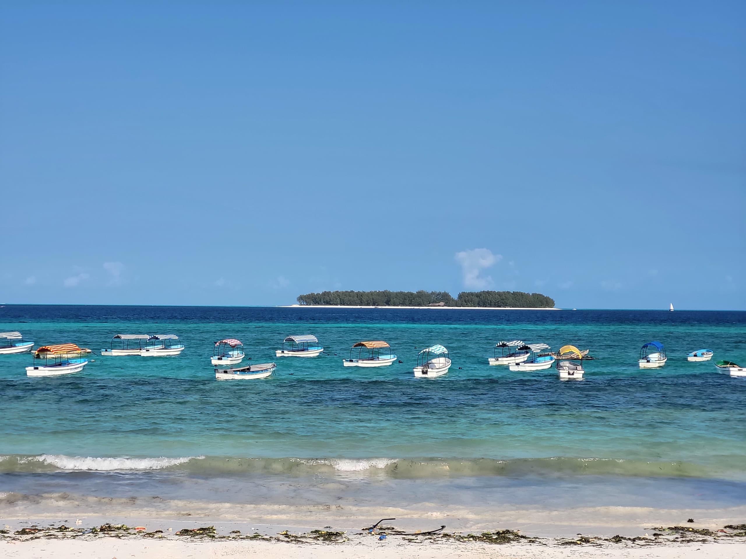 Mnemba Island Dolphin & Snorkel Boat Trip from Matemwe