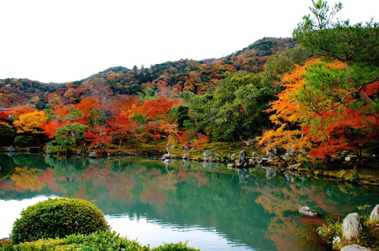 Private Kyoto Walking Tour: Samurai & Geisha Heritage