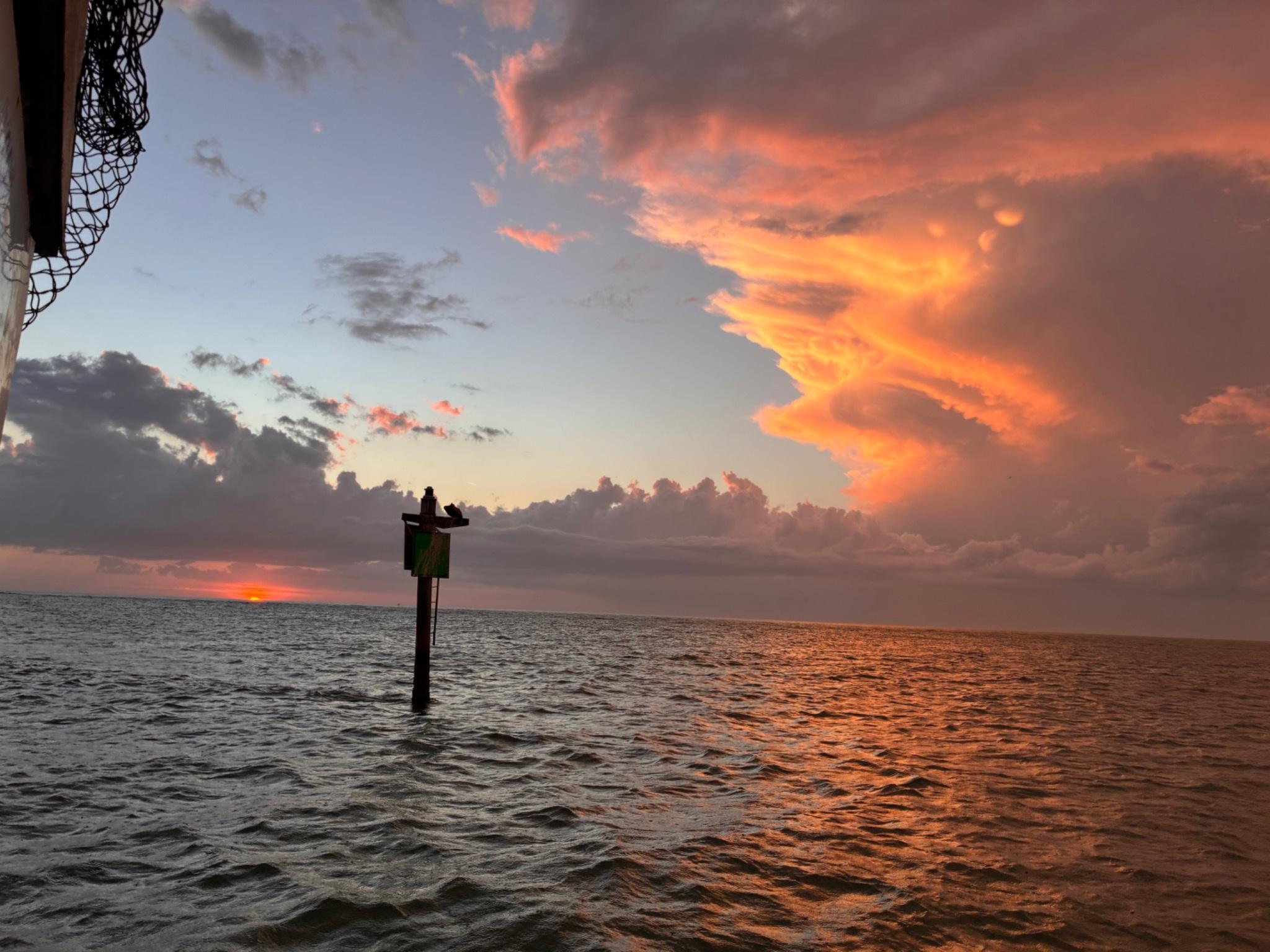 St. Petersburg Sunset & Dolphin Watching Cruise