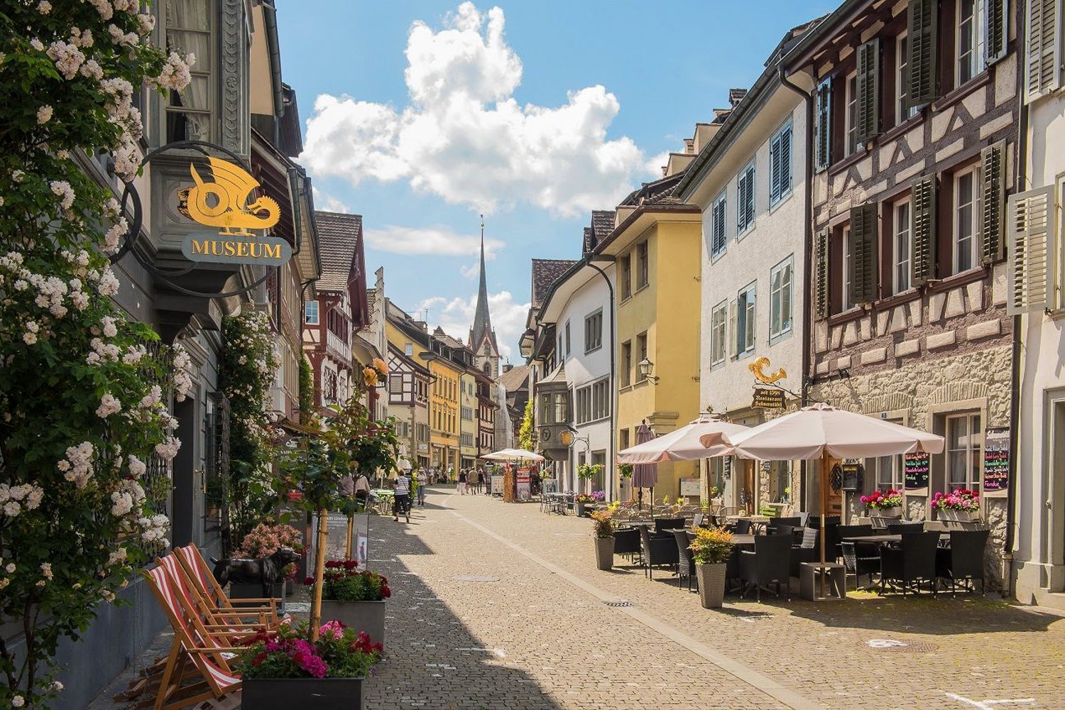 From Zurich: Stein am Rhein and Rhine Falls