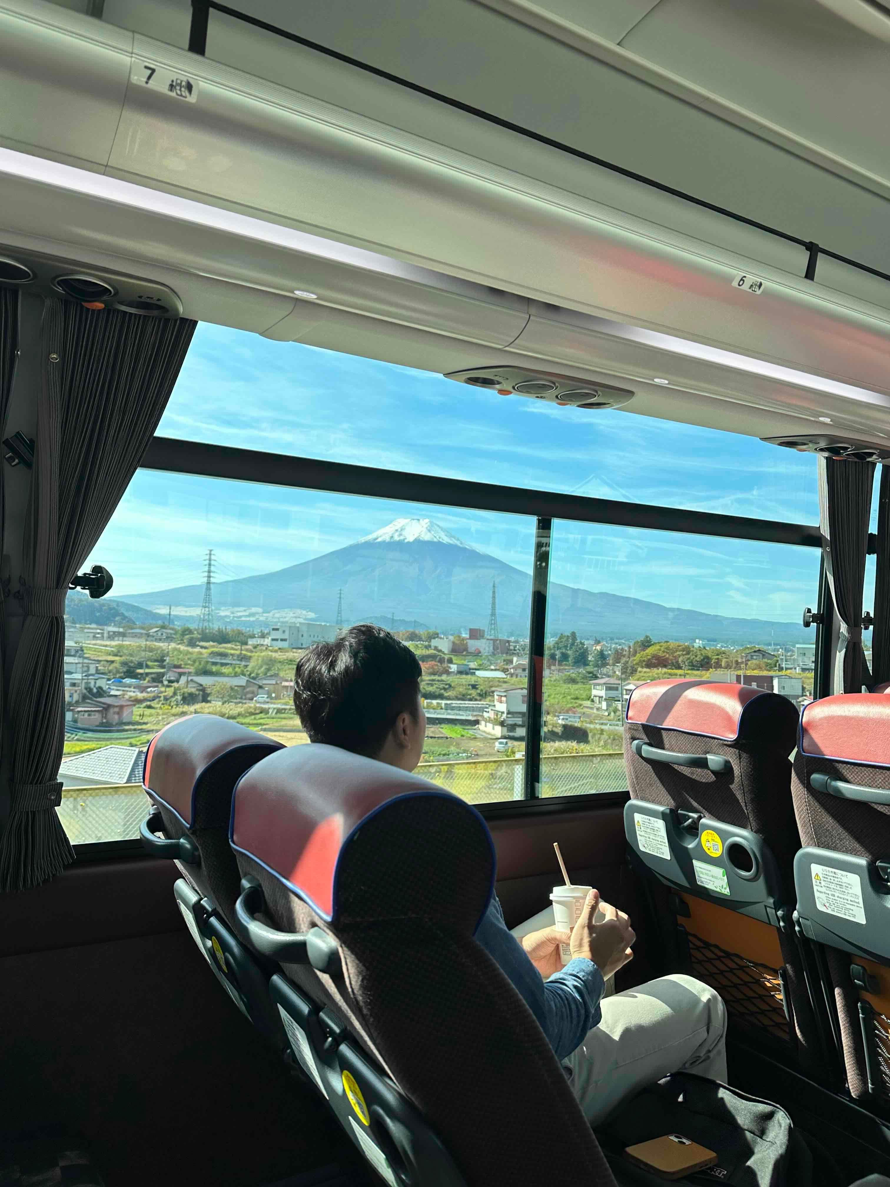 Mt. Fuji, Lake Kawaguchi & Chureito Pagoda Day Trip from Tokyo