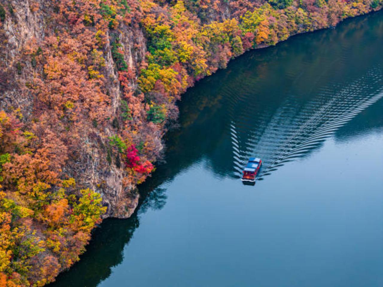 Nikko UNESCO Heritage Private Full-Day Tour from Tokyo