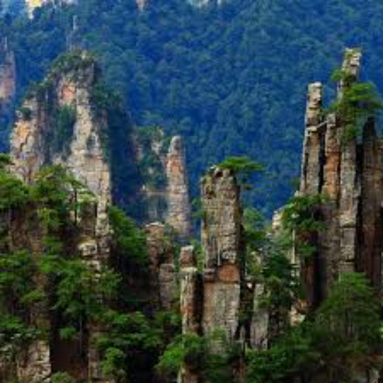 Zhangjiajie Avatar Mountains: Private Full-Day Park Tour