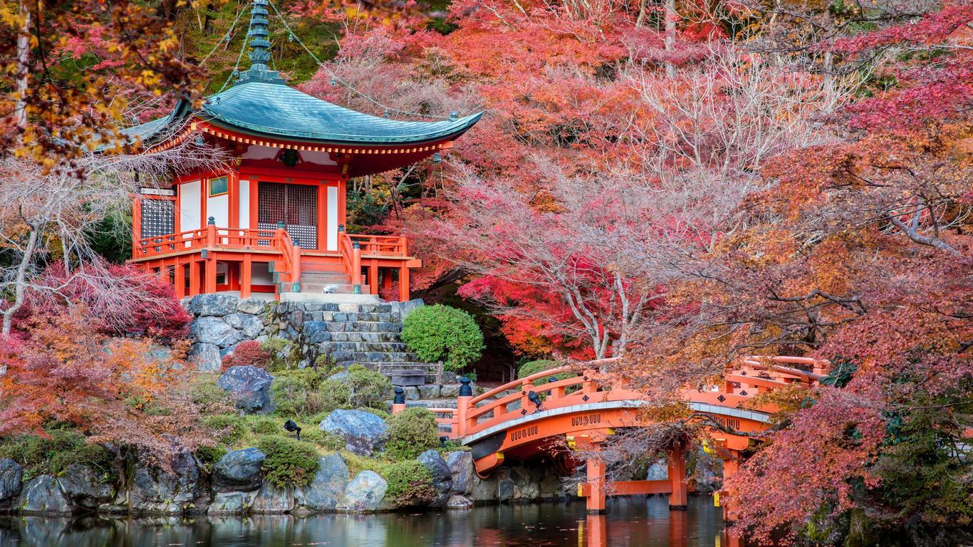 Kyoto Luxury Private Day Tour with Custom Itinerary