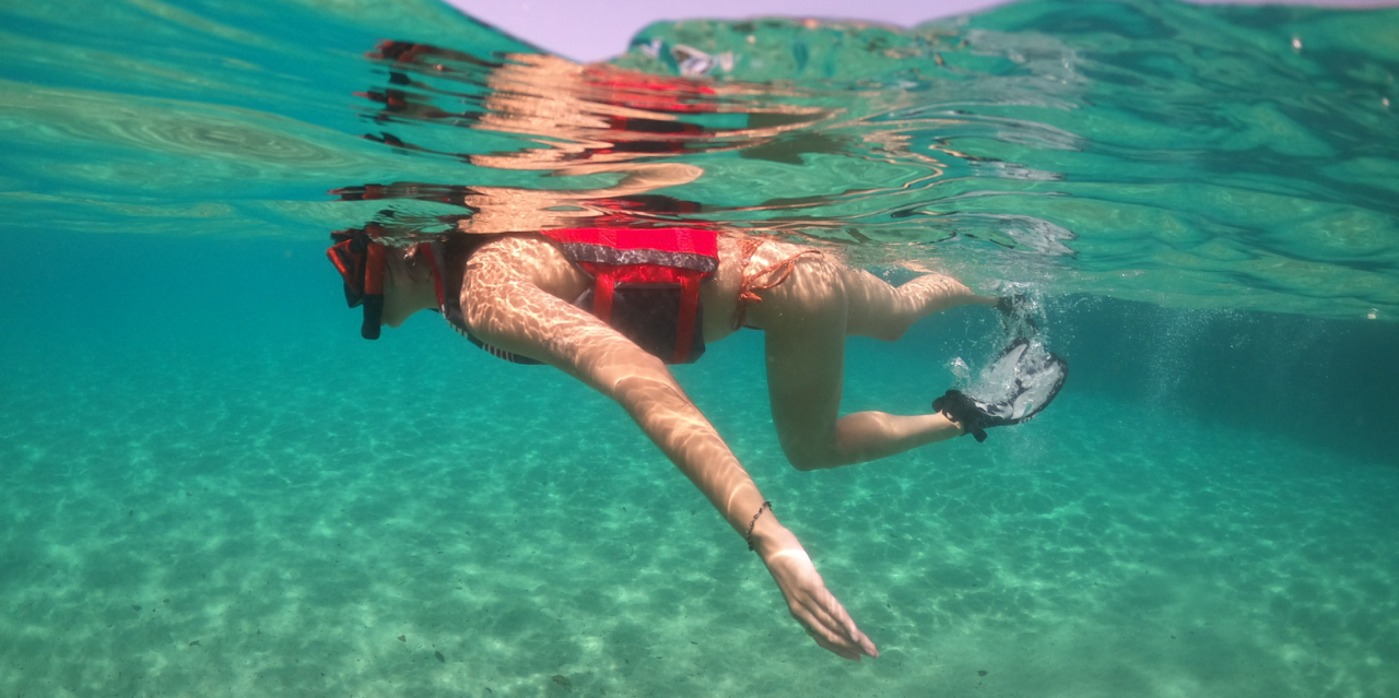San Juan Shore Snorkeling with Turtles & Free Videos