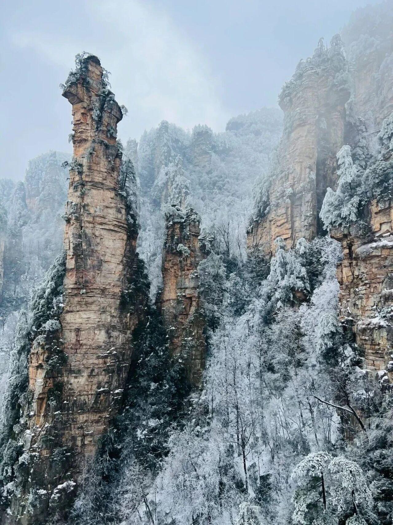 Zhangjiajie Glass Bridge, Avatar Mountains & Tianmen Private Day Trip