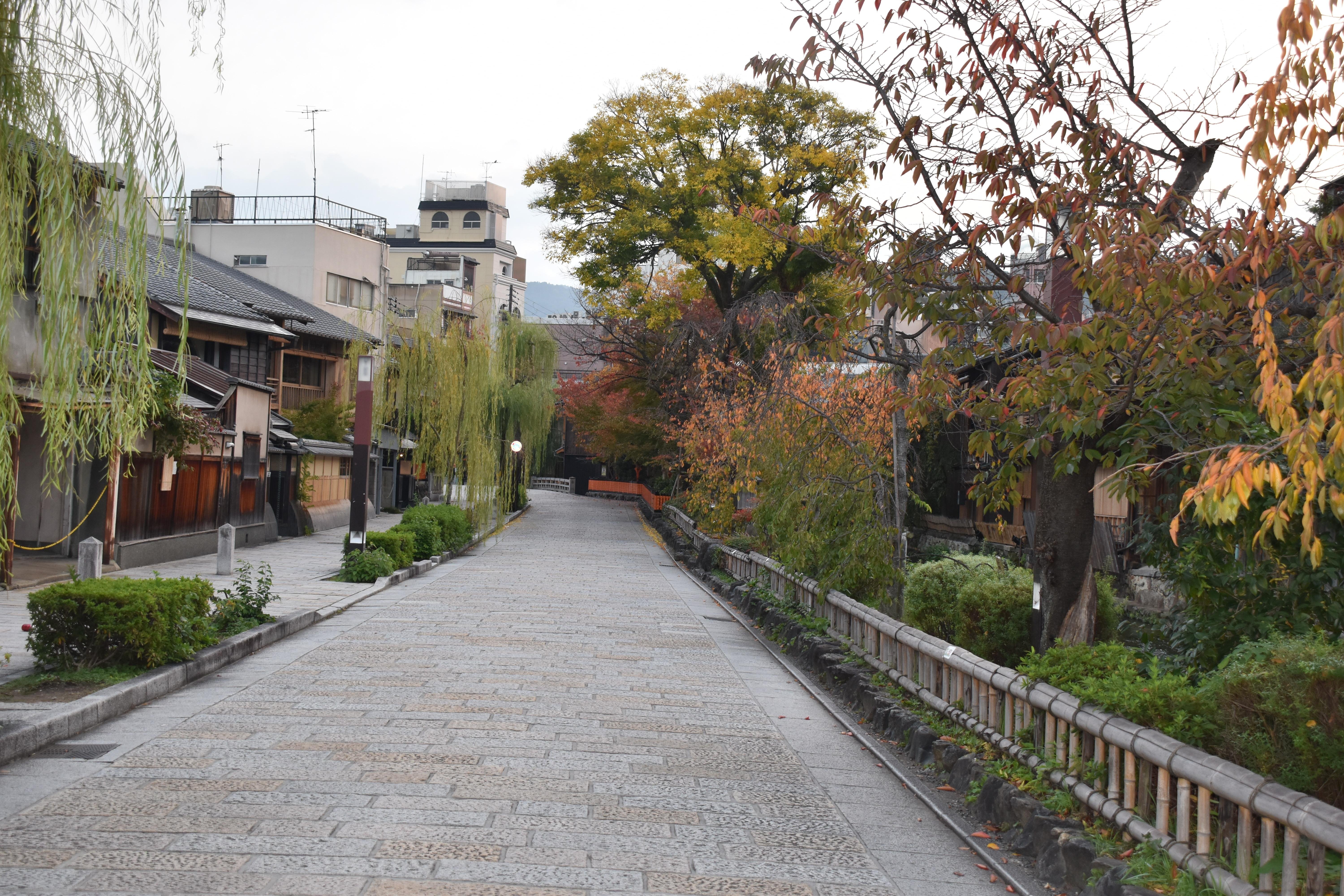 Kyoto Gion & Pontocho Cultural Walking Tour