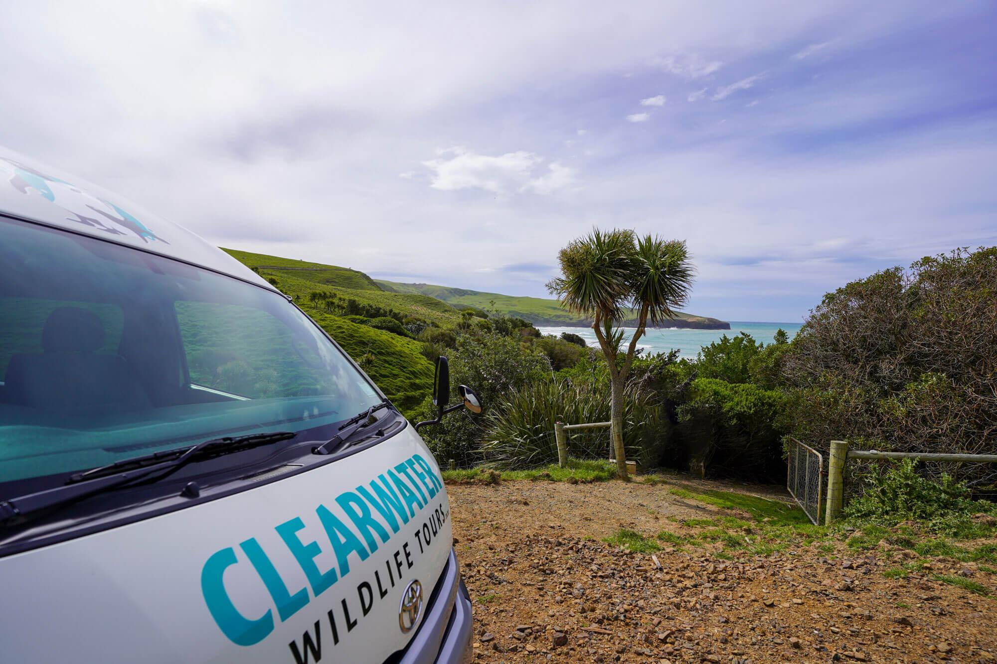 South Island guided tour photo — image 6