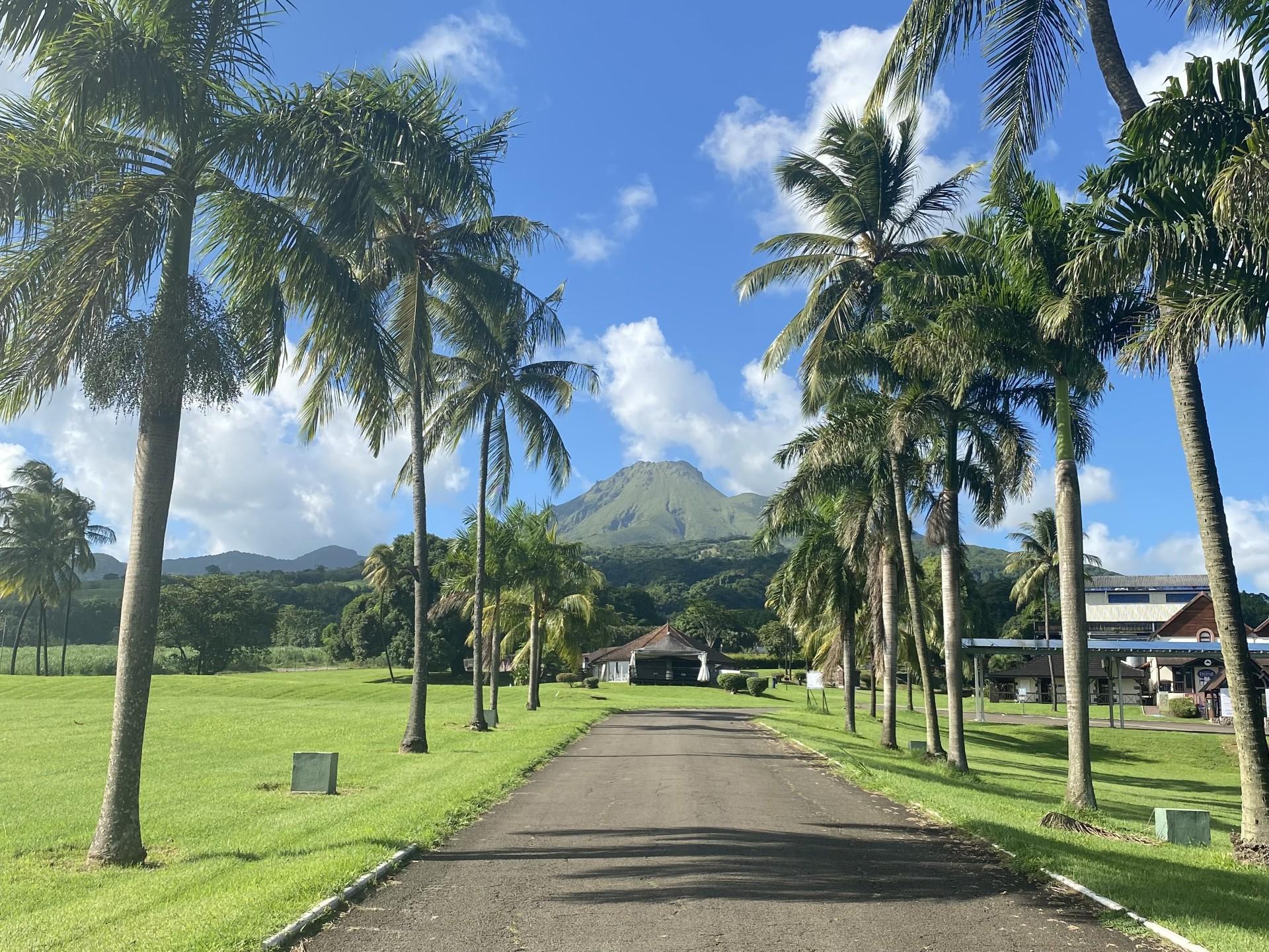 Northern Martinique Rainforest & Rum Discovery