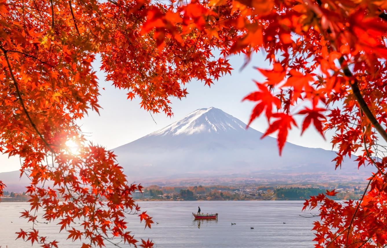 Mt. Fuji Scenic Highlights & Lake Kawaguchi Day Trip from Tokyo