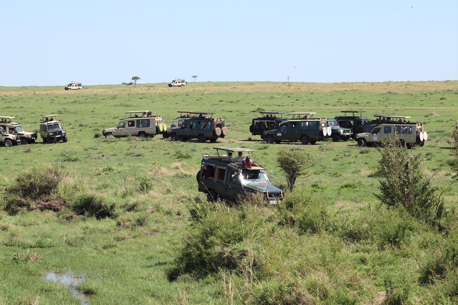 3-Day Masai Mara Safari Adventure from Nairobi