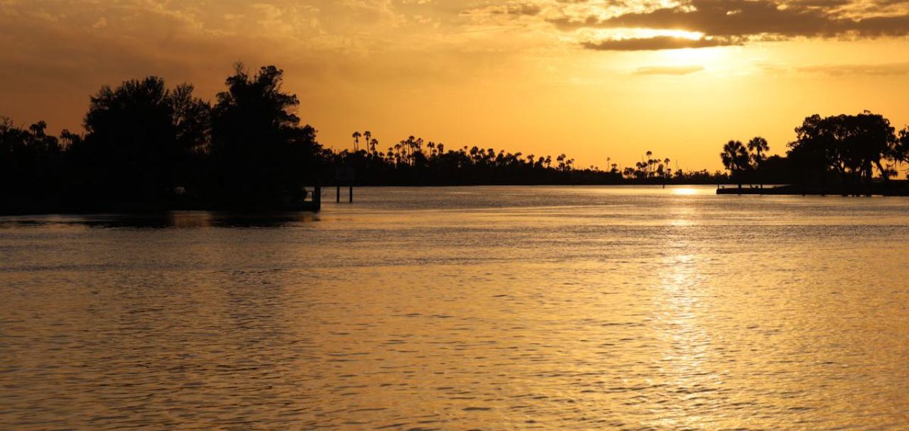 Manatee River Boat Tour with Naturalist Guide