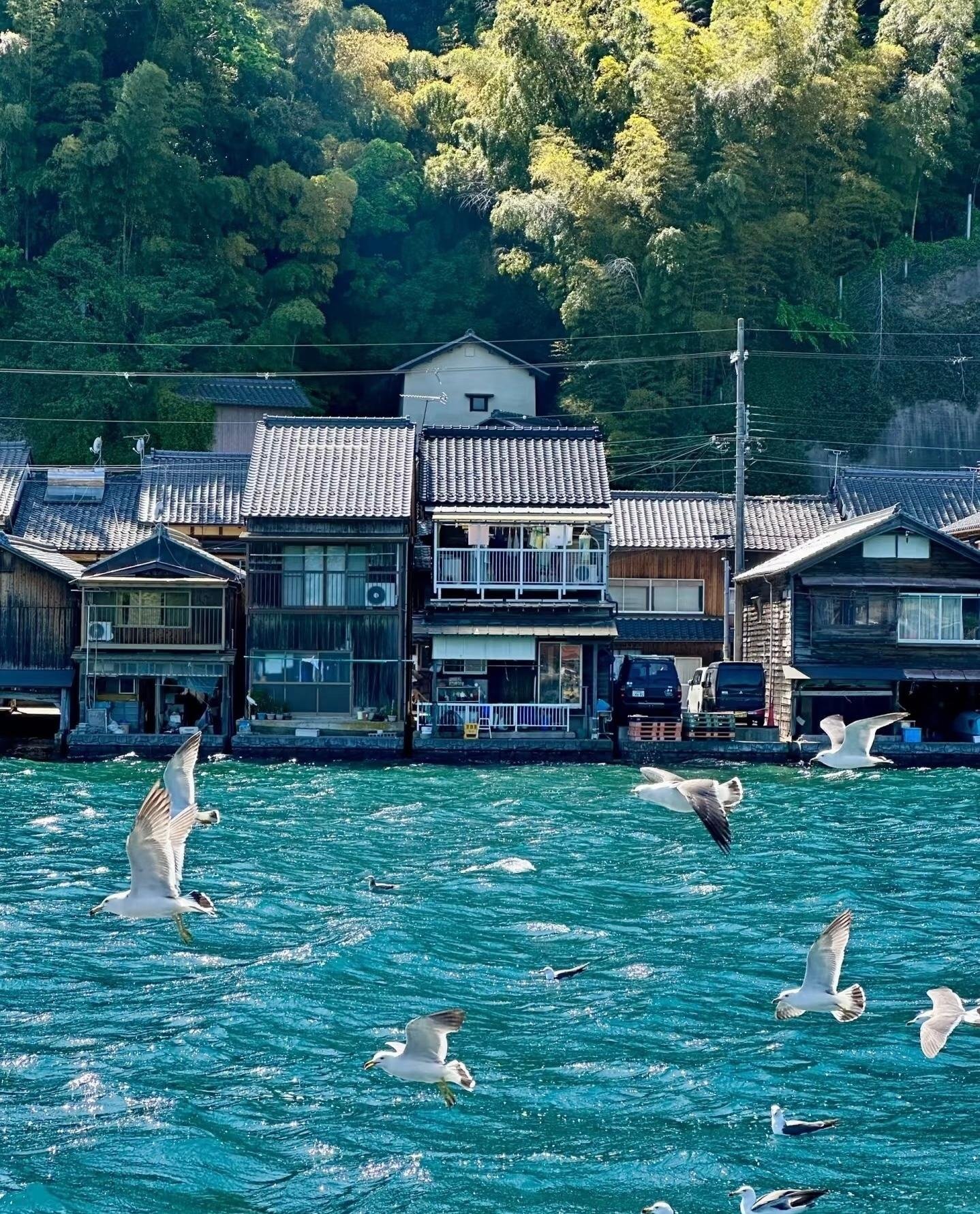 Ine Bay & Amanohashidate Coastal Day Tour from Kyoto