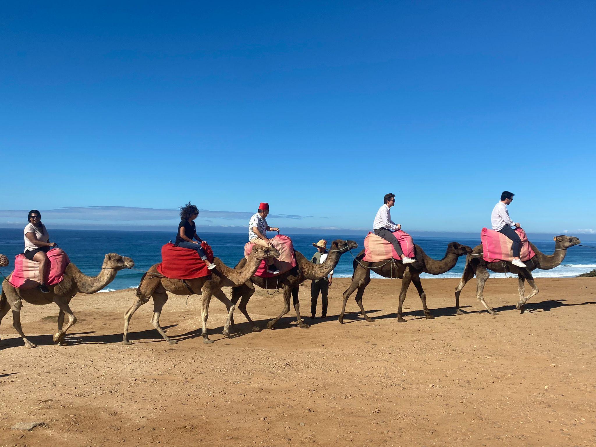 2–4 Day Morocco Adventure from Seville