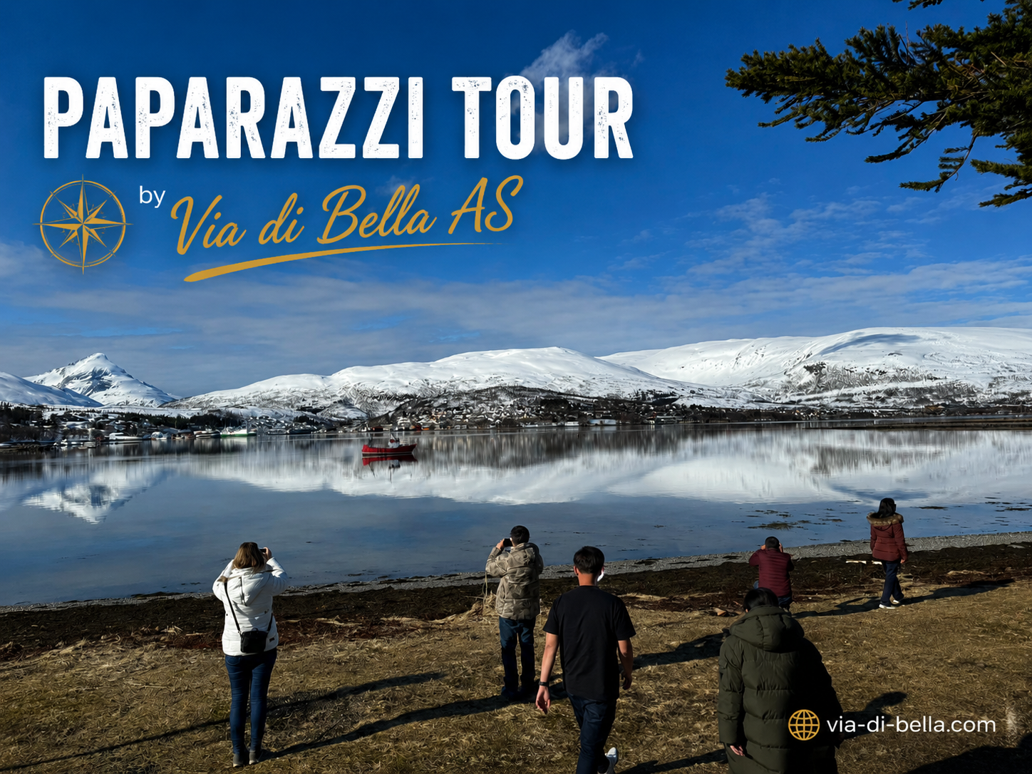 Tromsø: Sommarøy Paparazzi Tour (7 people max) — Sommarøy island Norway tour photo 2