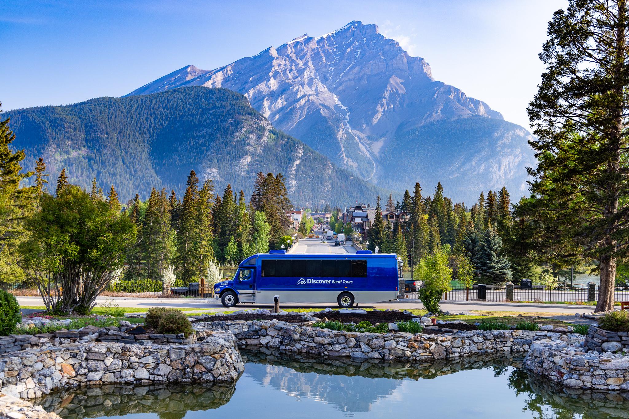 Banff Wildlife and Sightseeing Minibus Tour