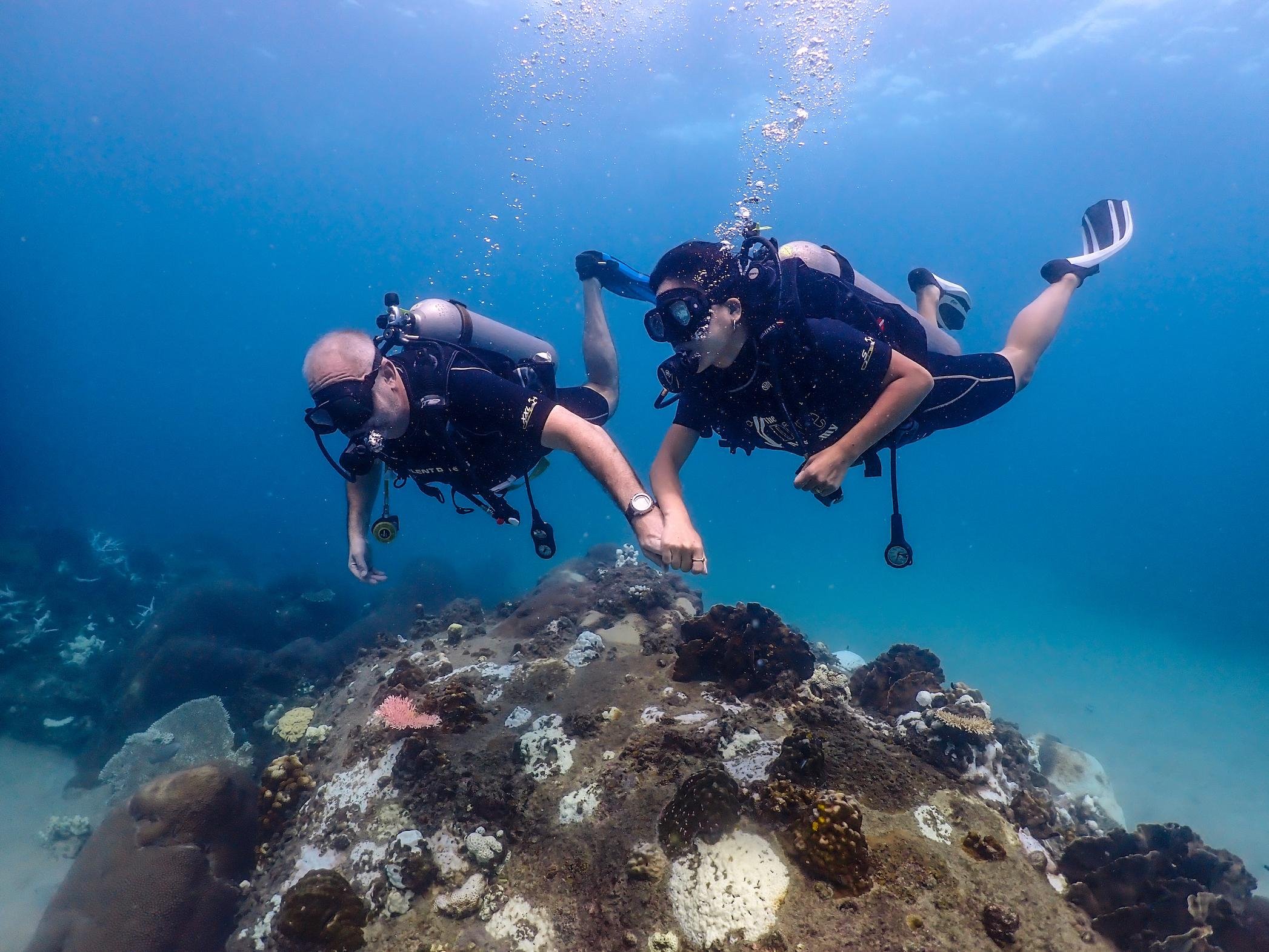 Koh Samui Discovery Scuba Experience: Sail Rock or Koh Tao