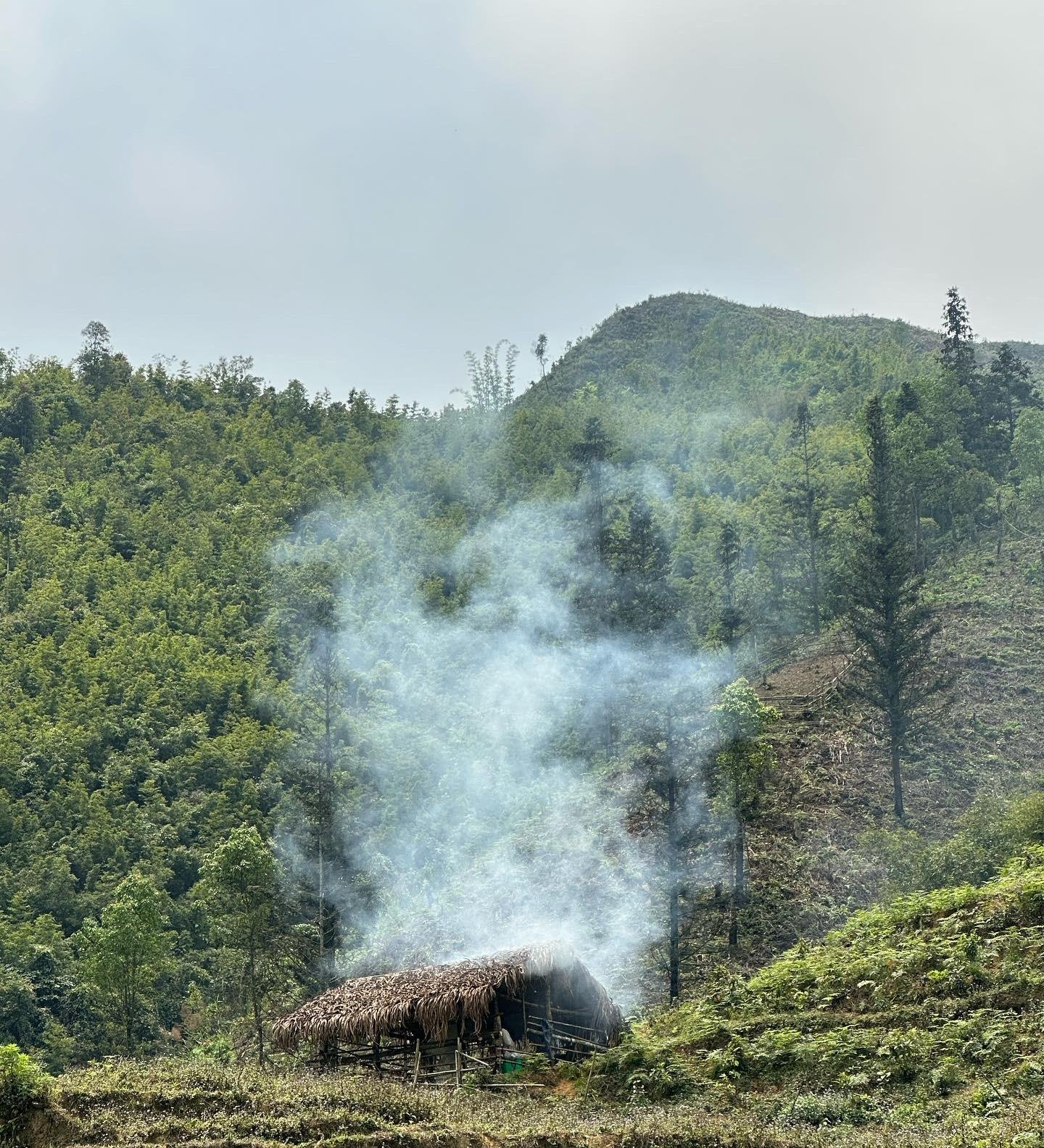 Sapa 2-day trek — Muong Hoa Valley rice terraces and ethnic-minority villages — image 60