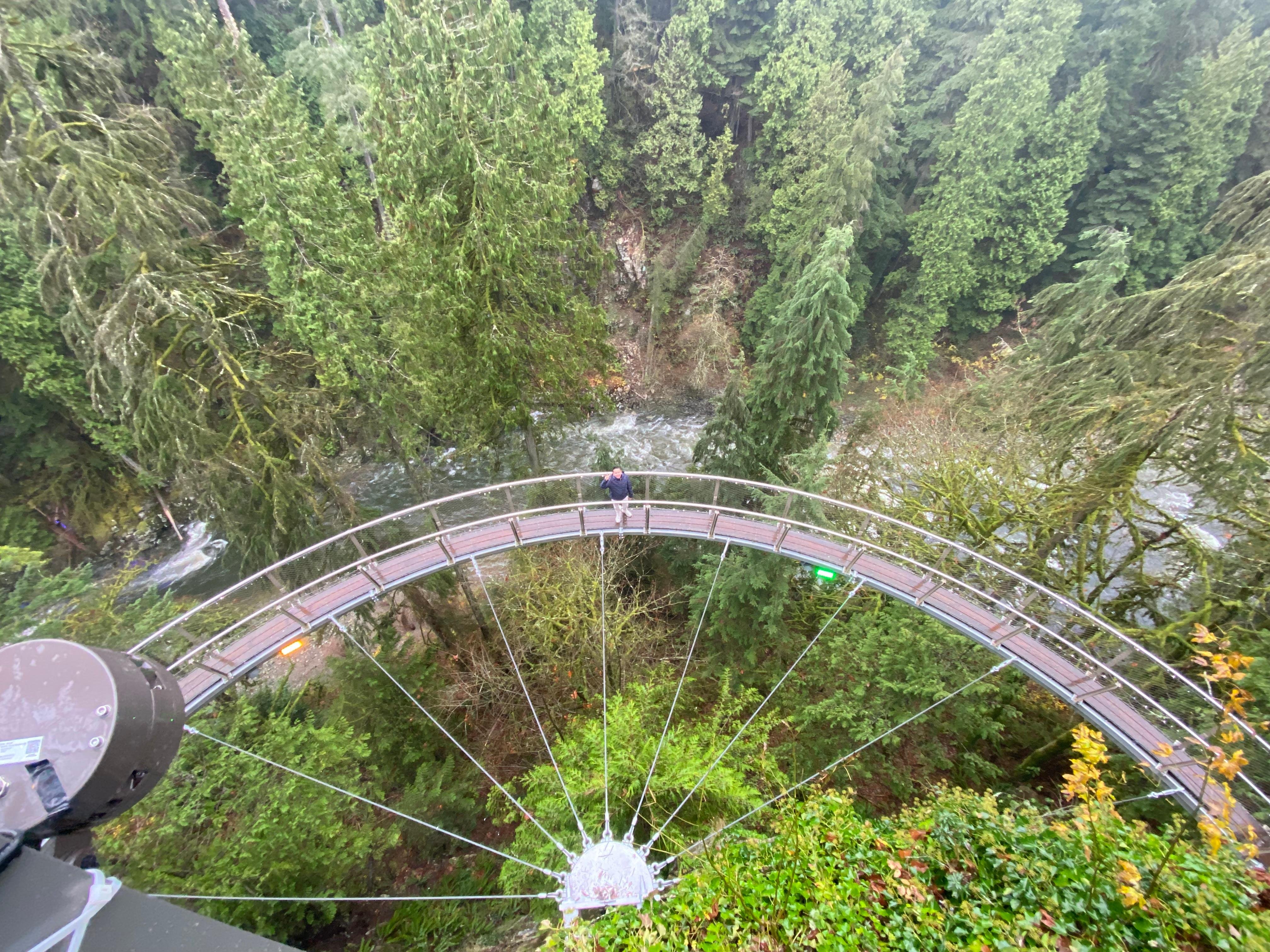 Private Vancouver Highlights: Capilano Suspension & Grouse Mountain
