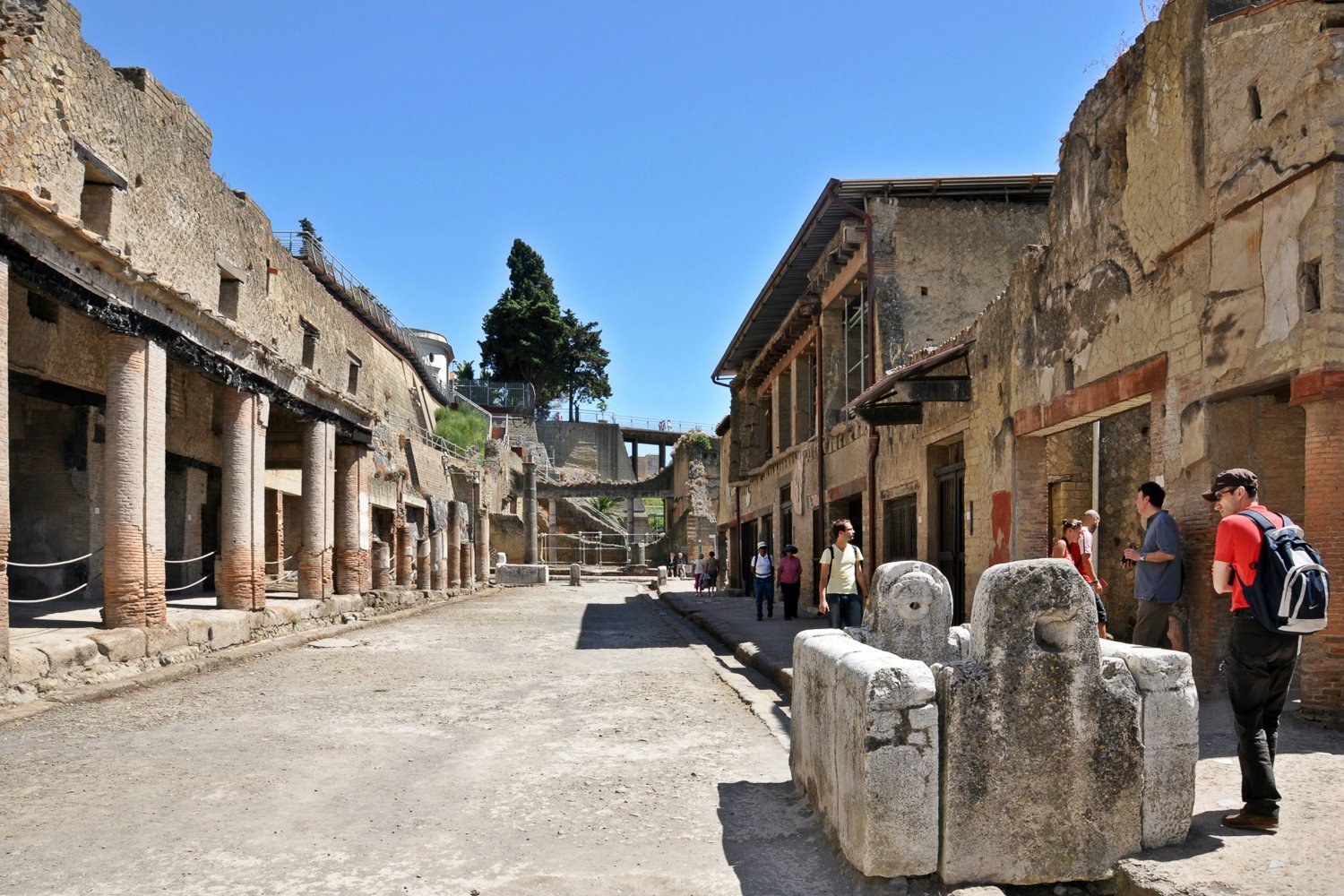Pompeii & Herculaneum Full-Day Excursion from Naples