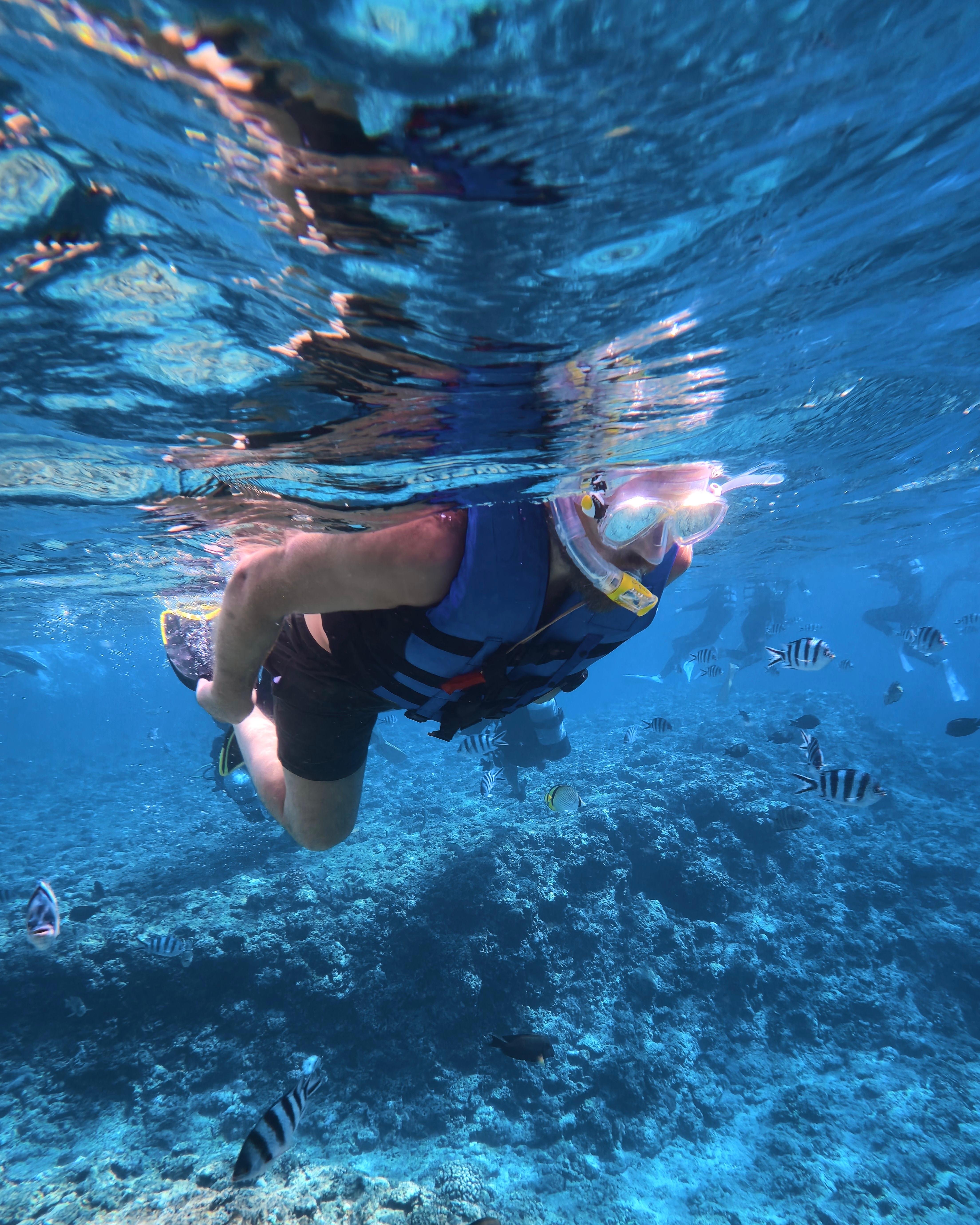 Blue Cave Okinawa snorkelling at Cape Maeda, Onna Village — image 19