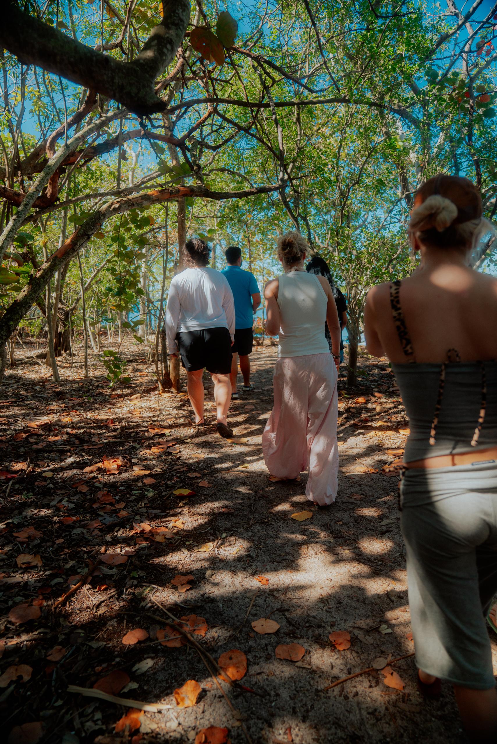 Raccoon Island Miami tour — Biscayne Bay wildlife boat cruise — image 14