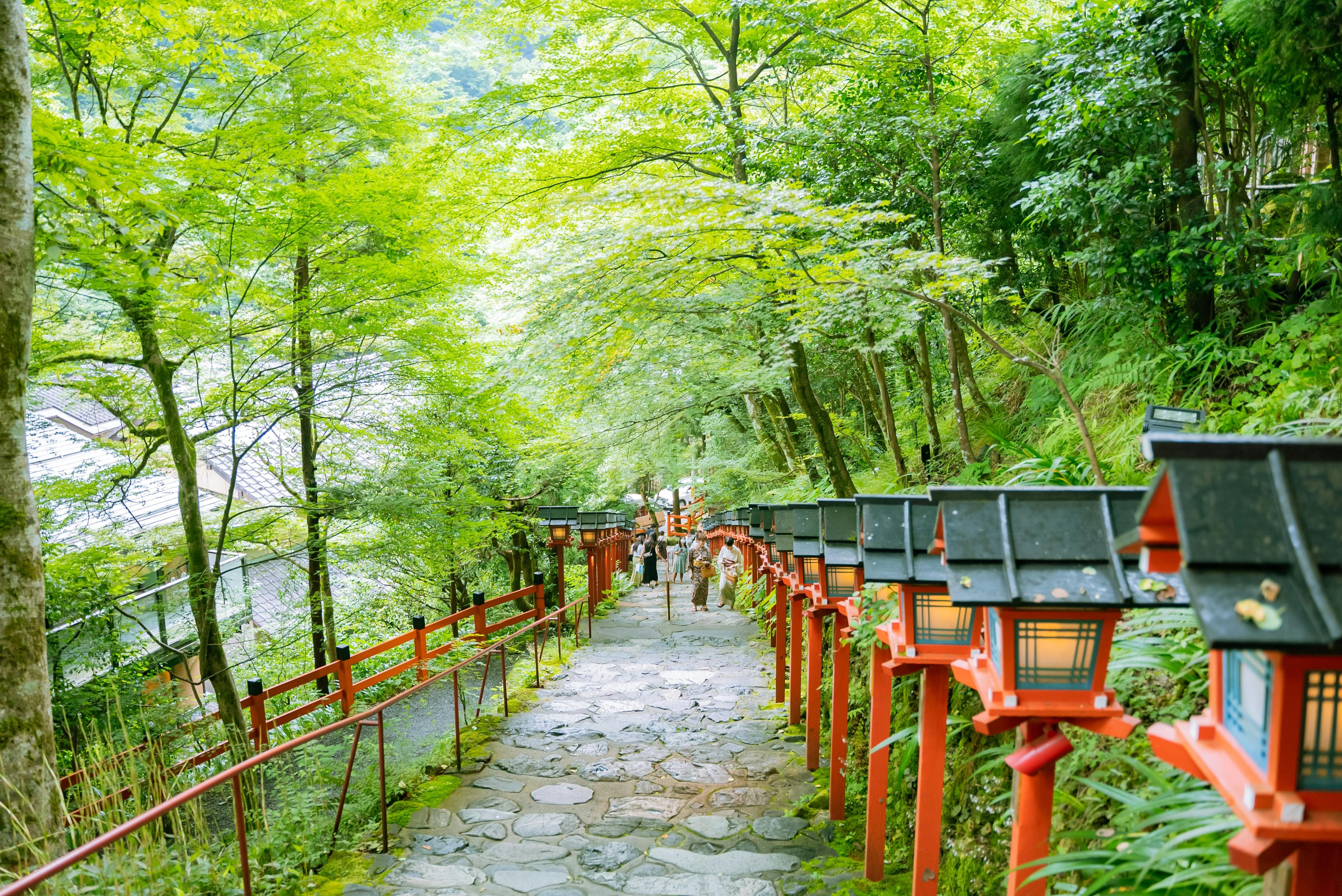 Private Full-Day Nikko Tour from Tokyo